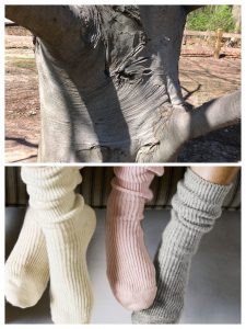 European purple beech bark resembles saggy socks.