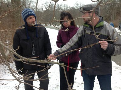 Michael Dosmann teaches Boston educators how to “read” twigs.