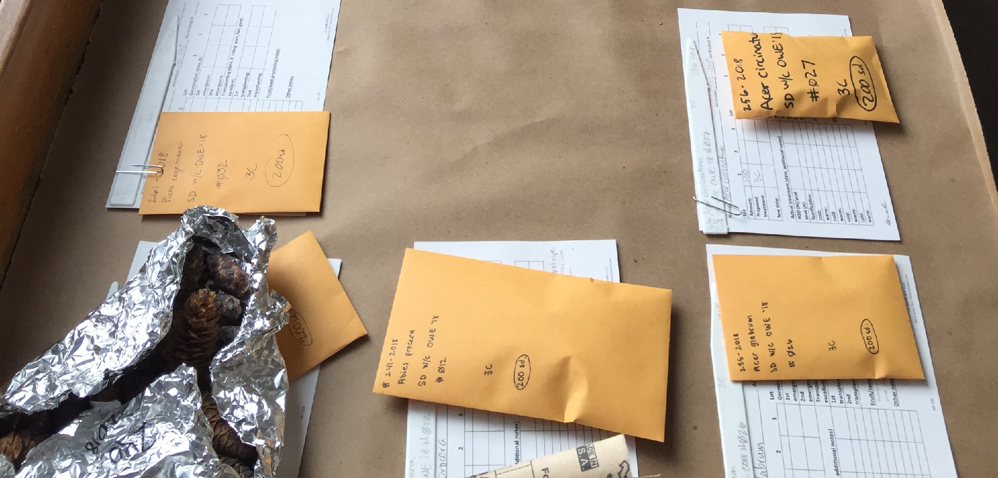Oregon and Washington Expedition Seed processing at Data Greenhouse.