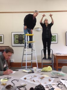 Teachers drop samaras from the same height to investigate flight path.