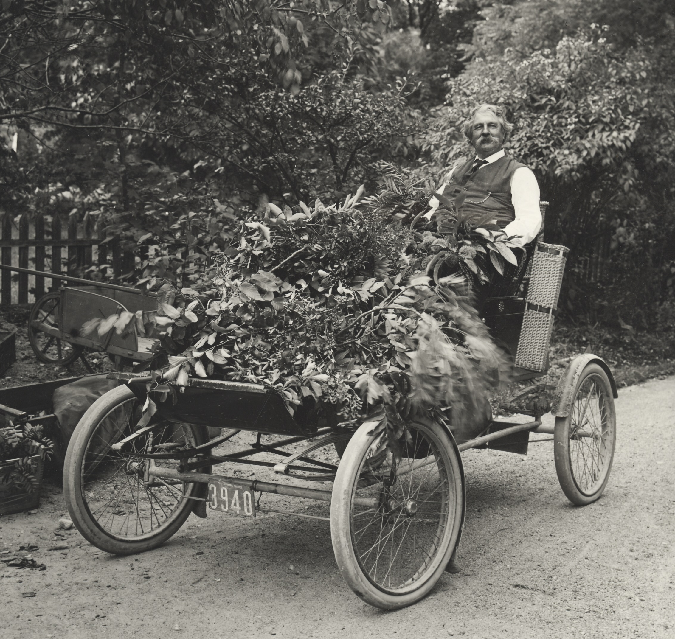 Arboretum propagator Jackson Dawson.