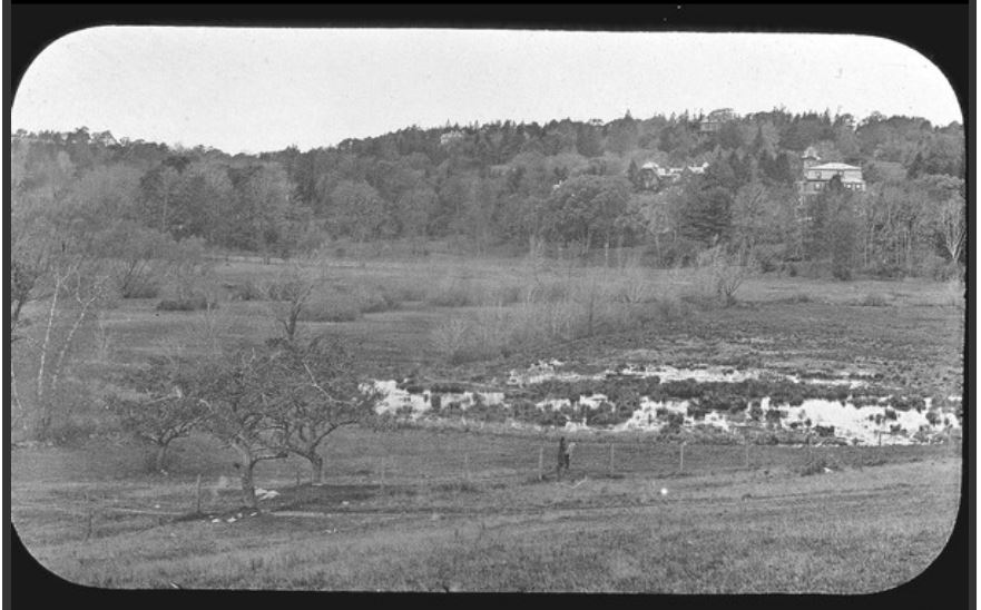 Ponds area ca1880