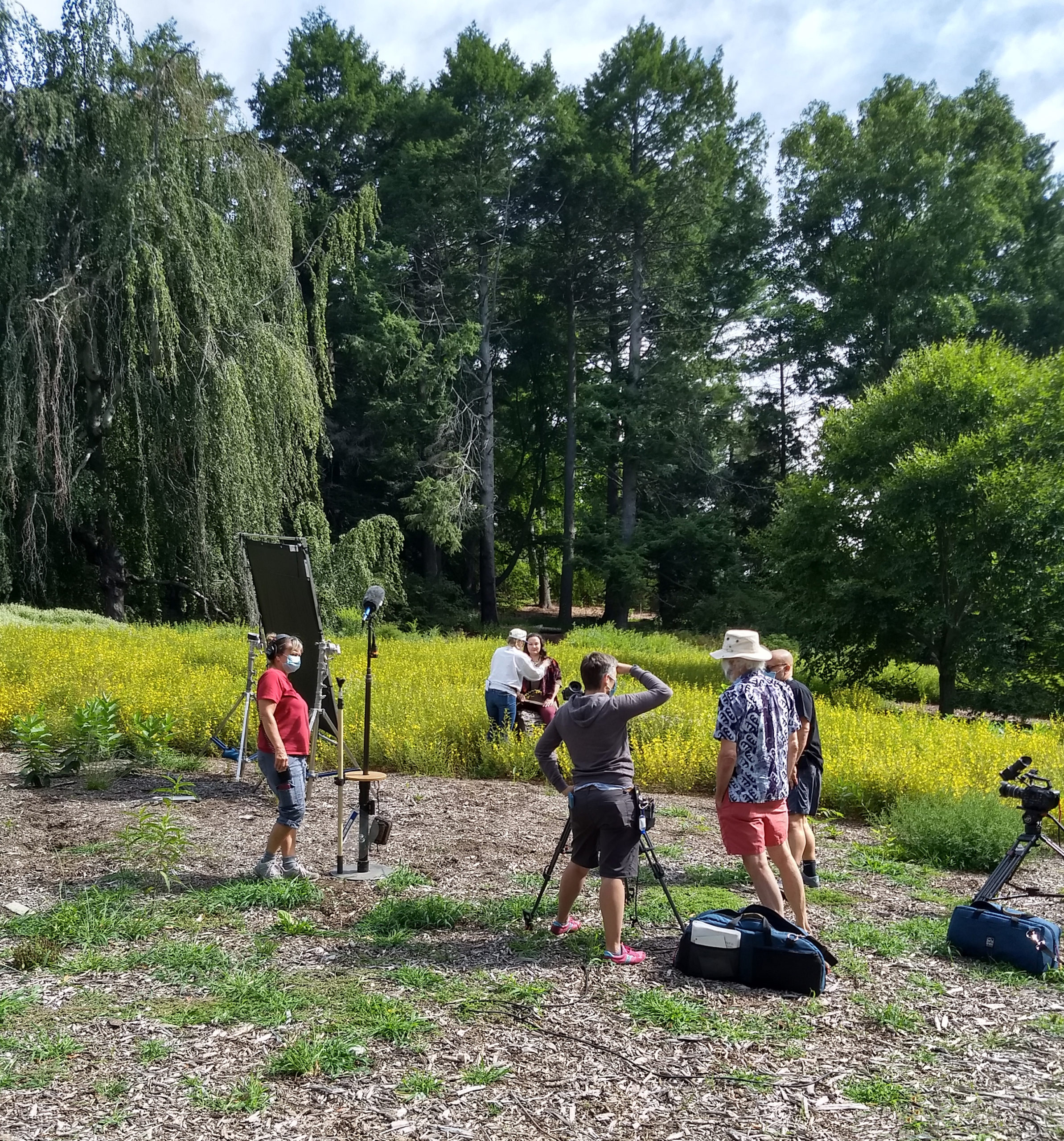 Actors' Shakespeare Project films in the beech collection