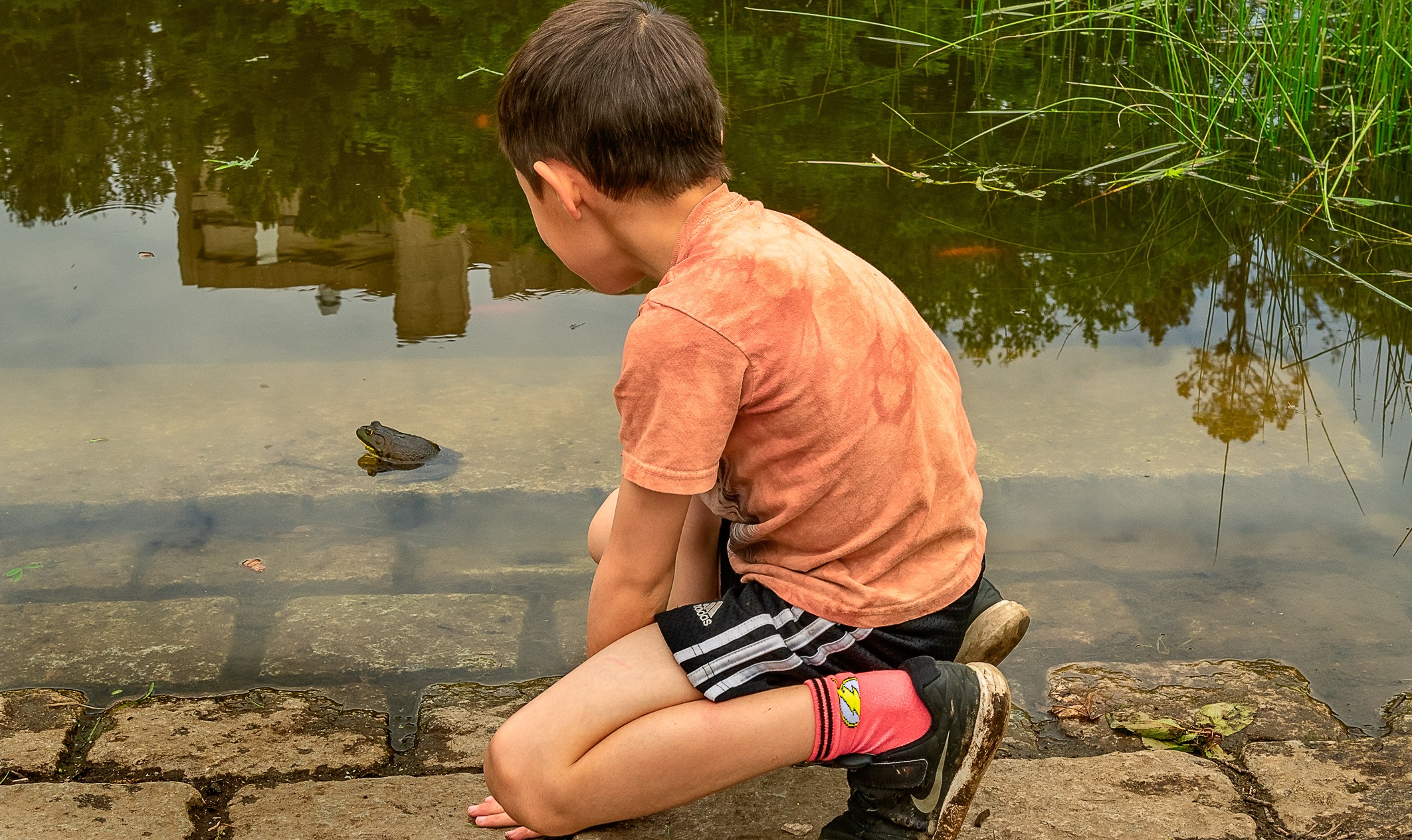 Boy by pond looking at frog