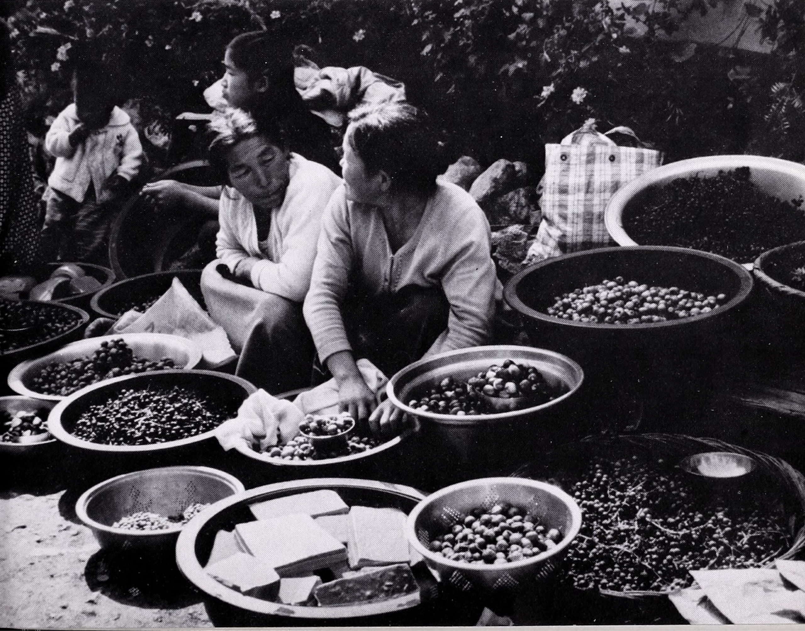 Black-and-white photograph showing women tending baskets of food