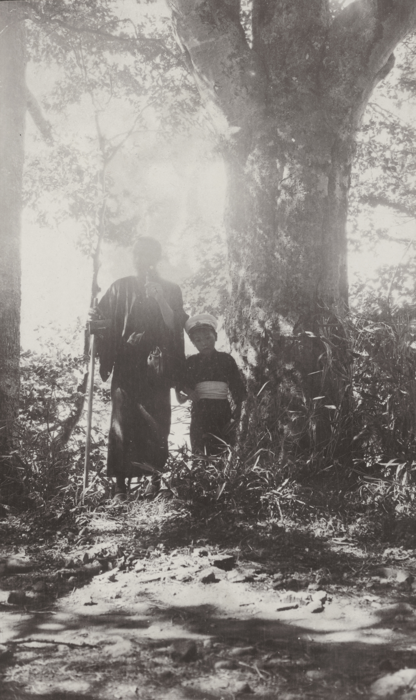 A man and a boy photographed by John Jack beside a Fagus sylvatica asiatica. Lake Chuzenji, Japan. The trunk of the tree was over 3 feet in diameter at breast height. August 10, 1905.