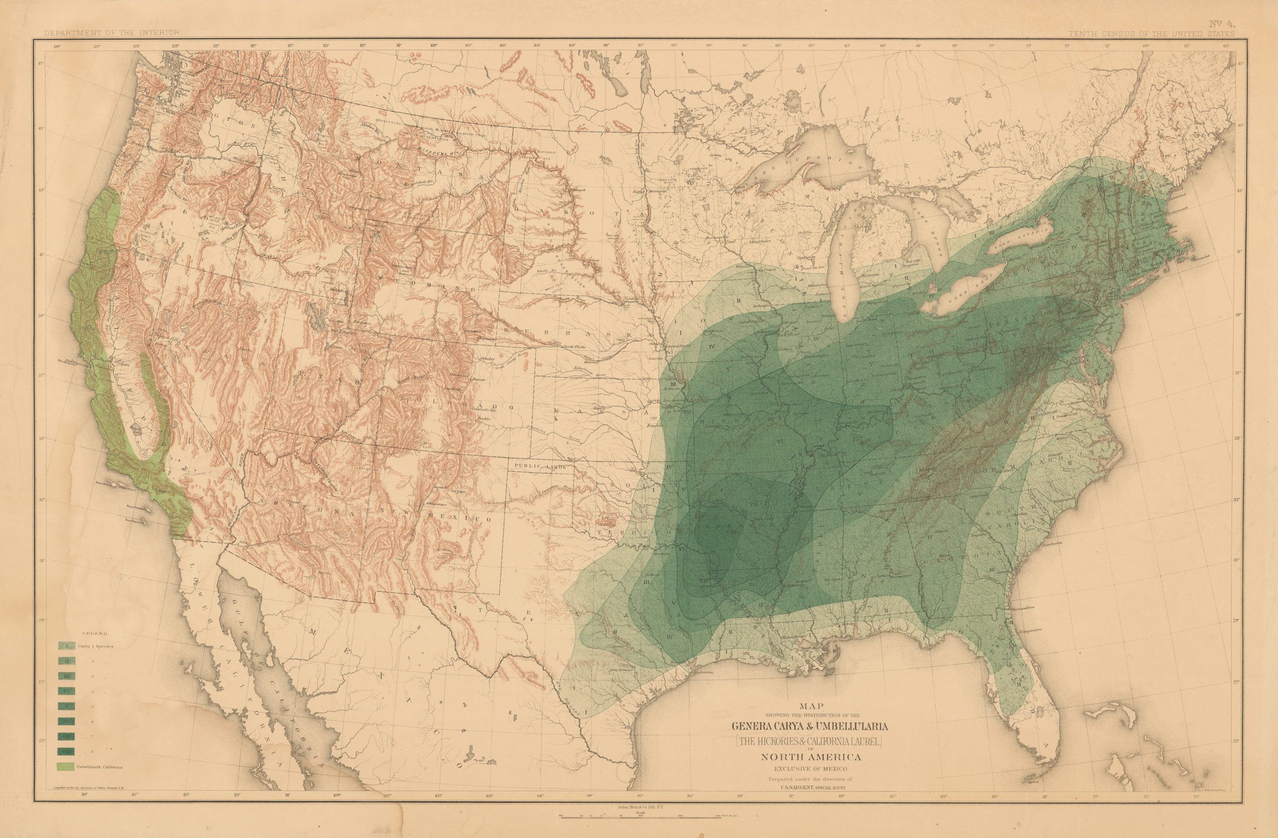 Map showing distribution of hickories in North America