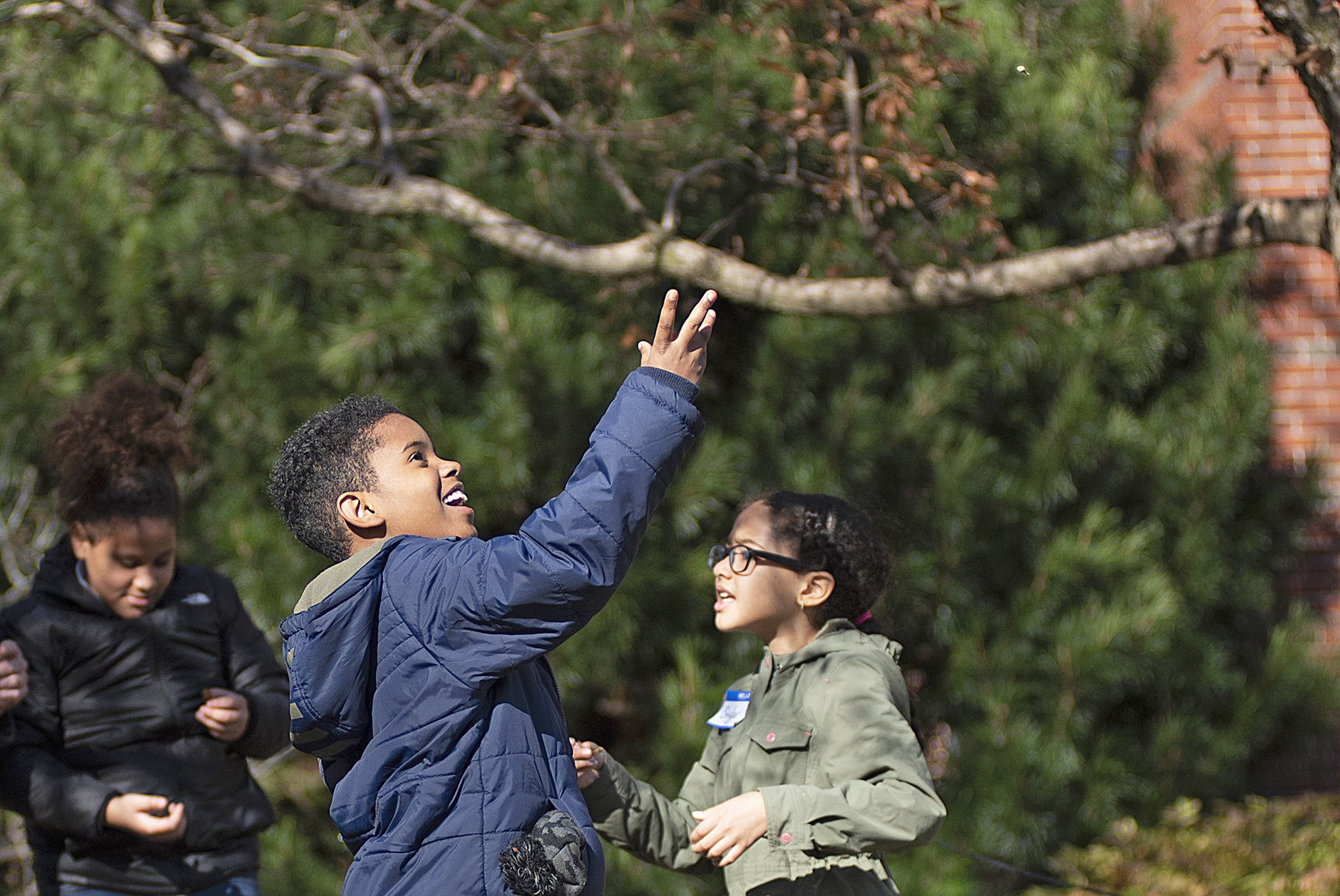 Wonder Spot at the Arnold Arboretum