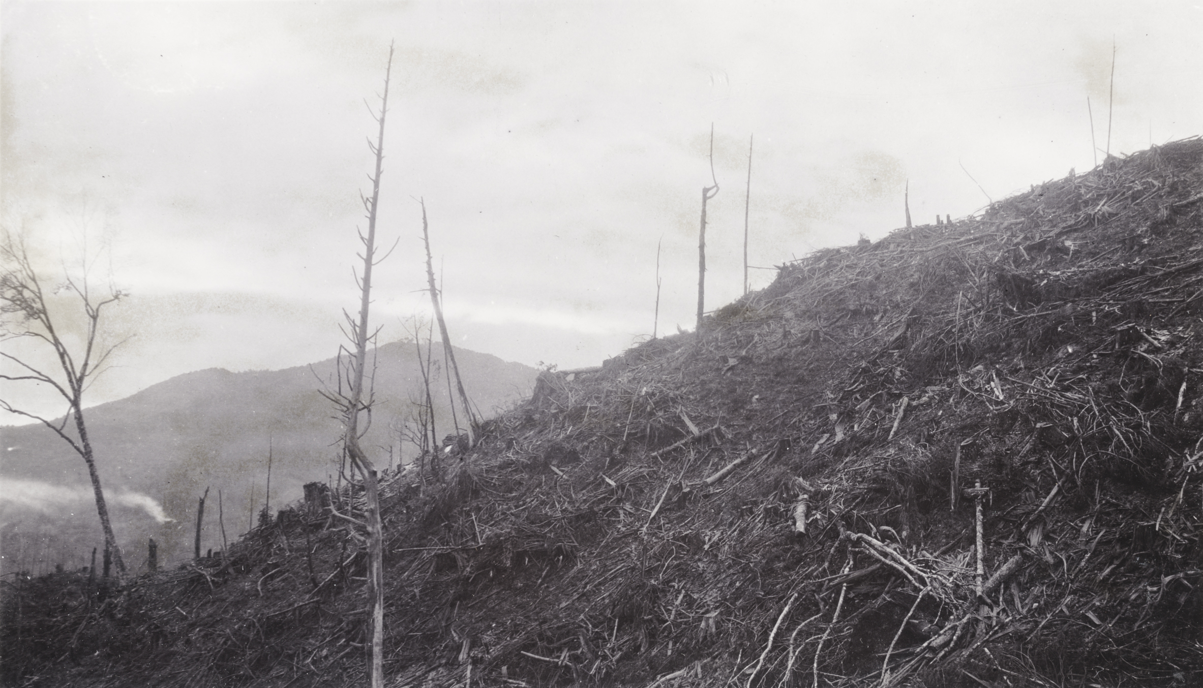 John Jack photographed this devastated scene of cut over slopes at the Ogawa lumbercamp, Kiso, Japan on September 5, 1905.