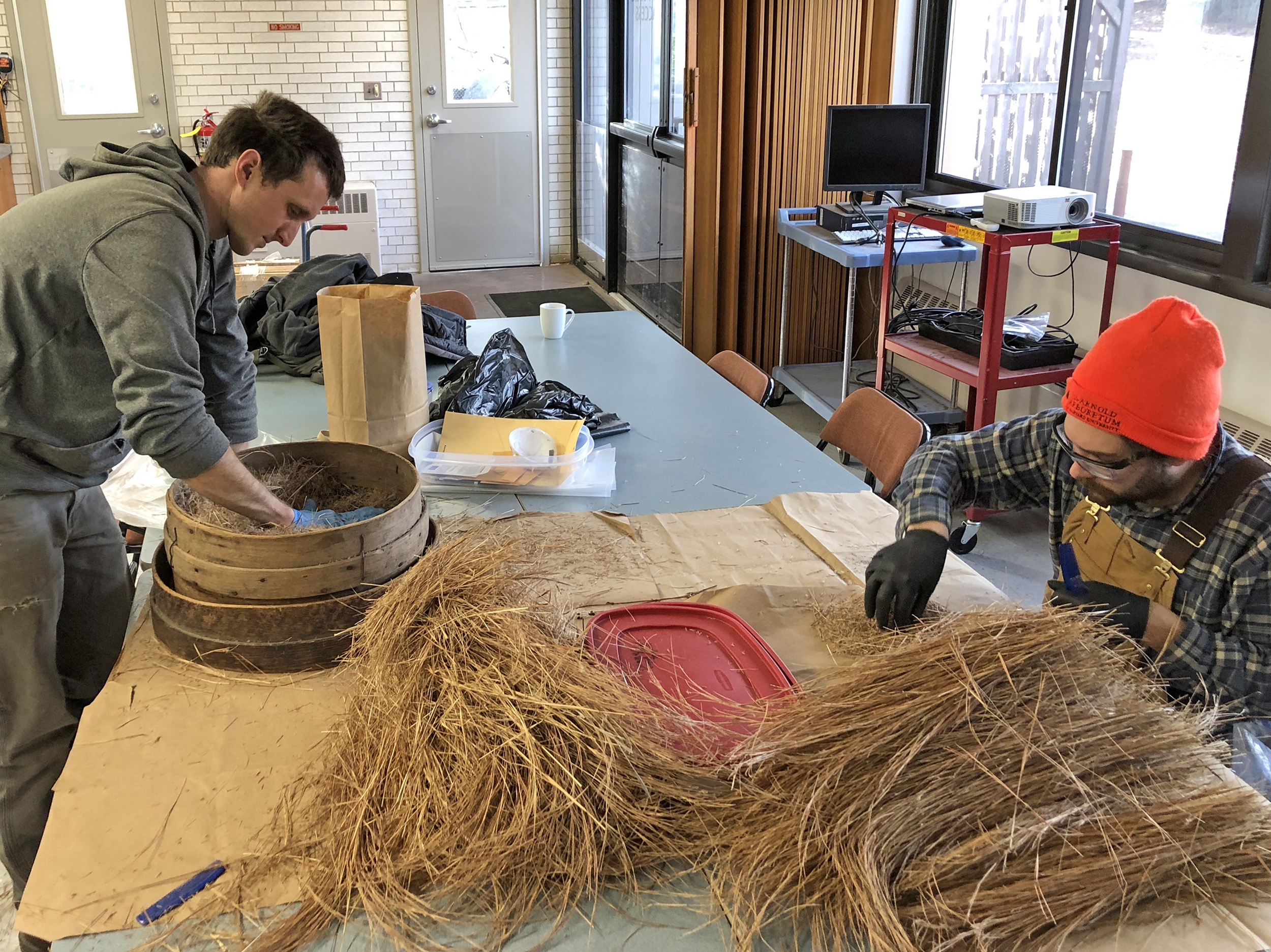 Brendan Keegan and Colin McCallum-Cook clean seed of little bluestem