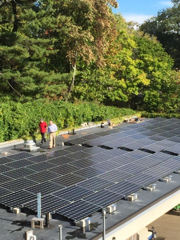 Arnold Arboretum Director takes a look at the newly installed solar panels on the maintenance garage.