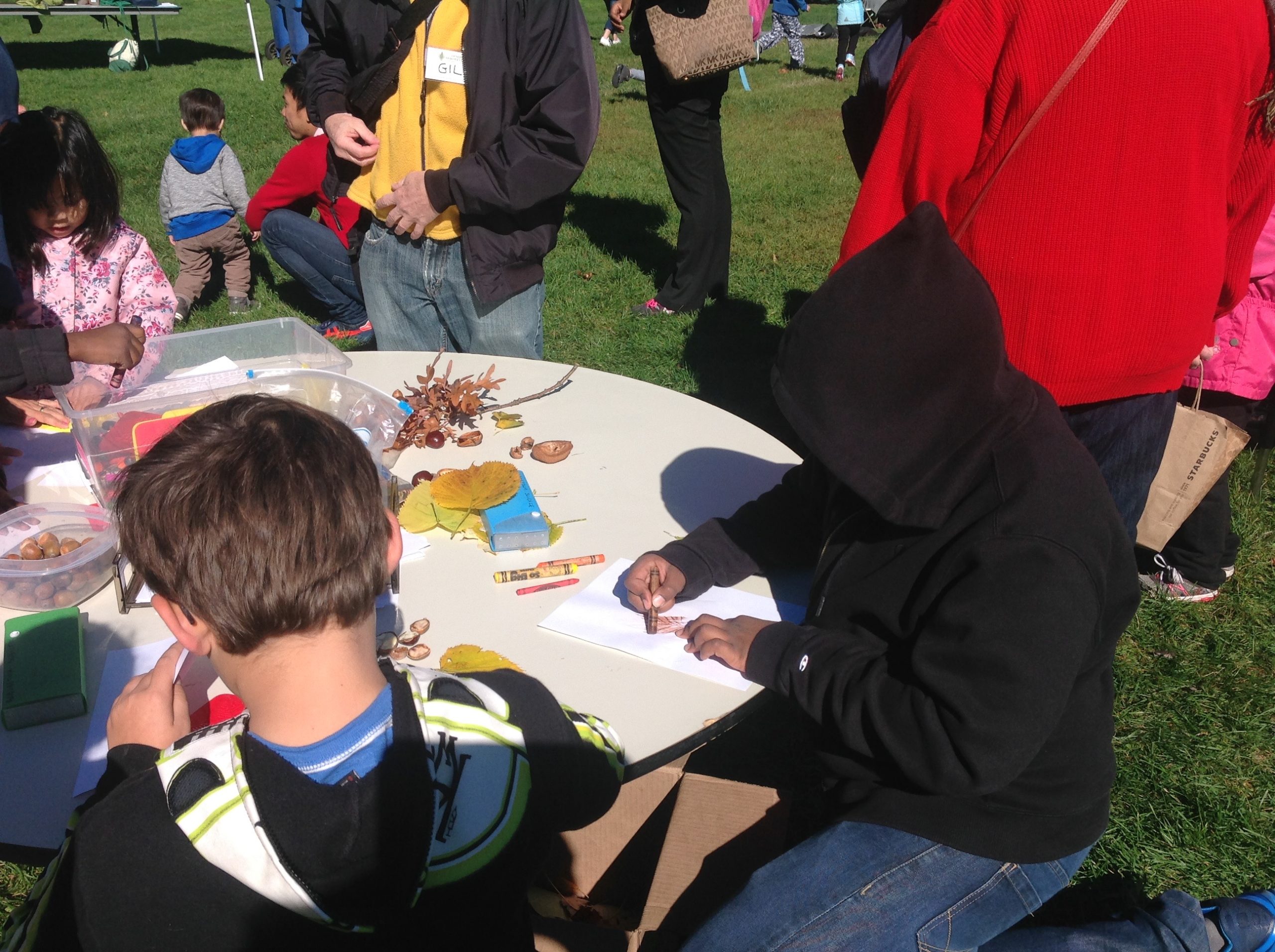Making colorful leaf rubbings