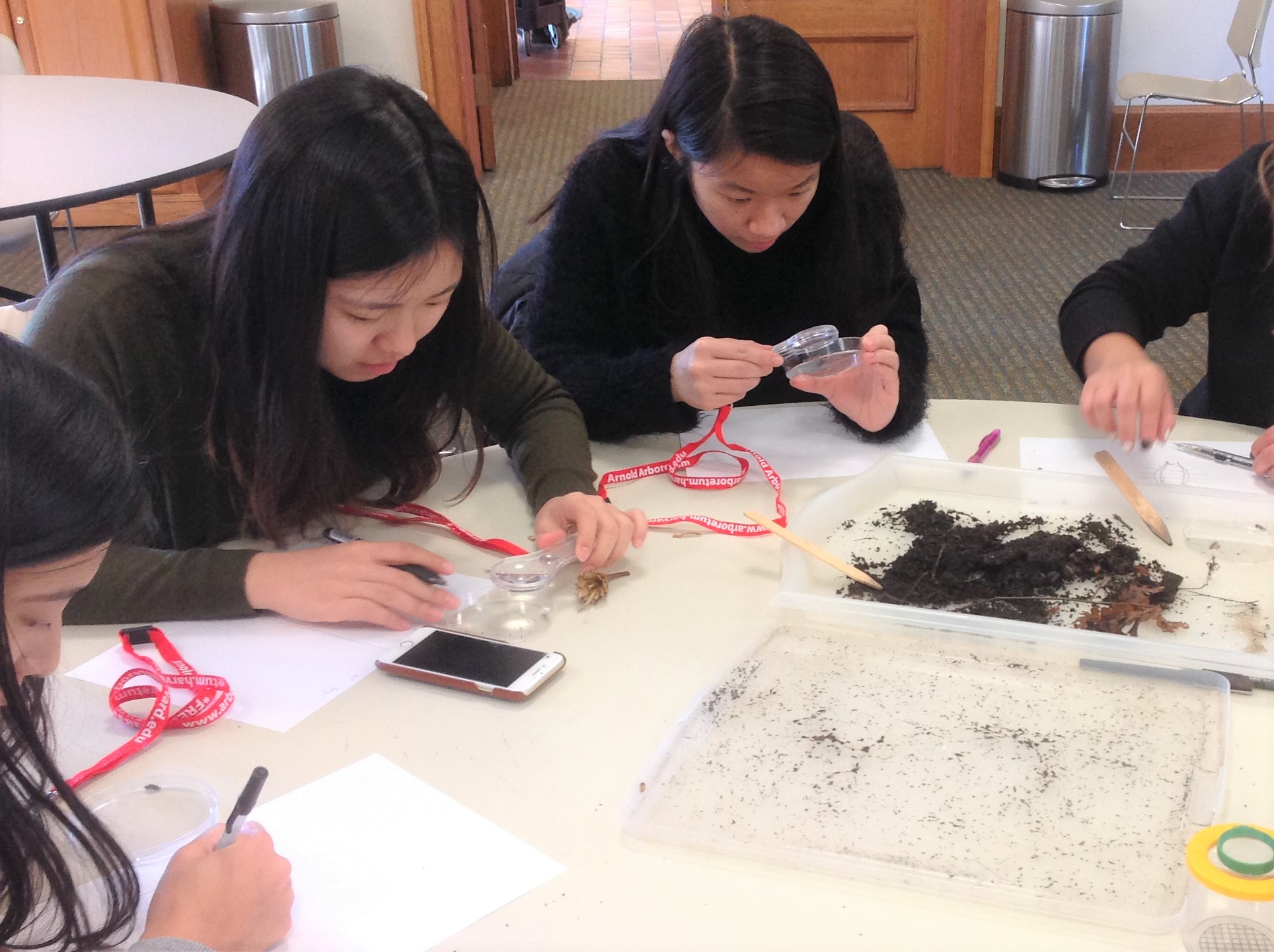BU students observe and sketch various invertebrates.