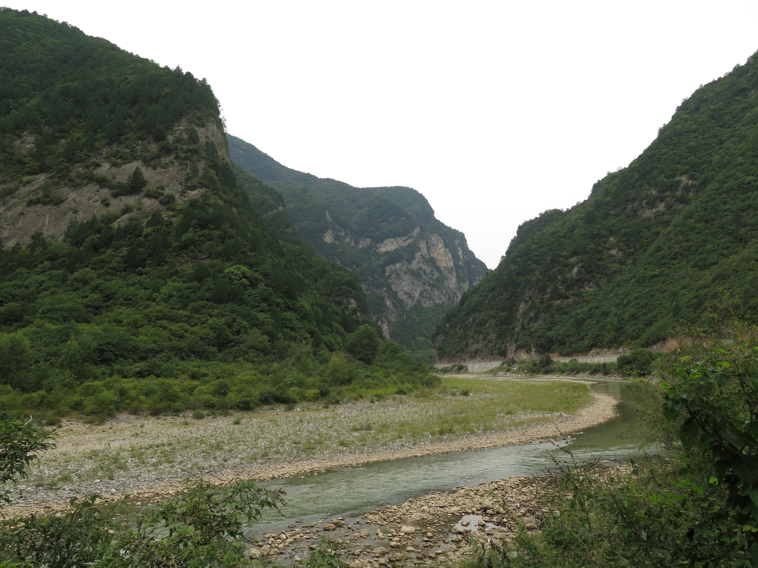Jialing River, near Shuishengya, Gansu, collection site of Fraxinus baroniana (NACPEC15-003) and Acer oblongum (NACPEC15-004).