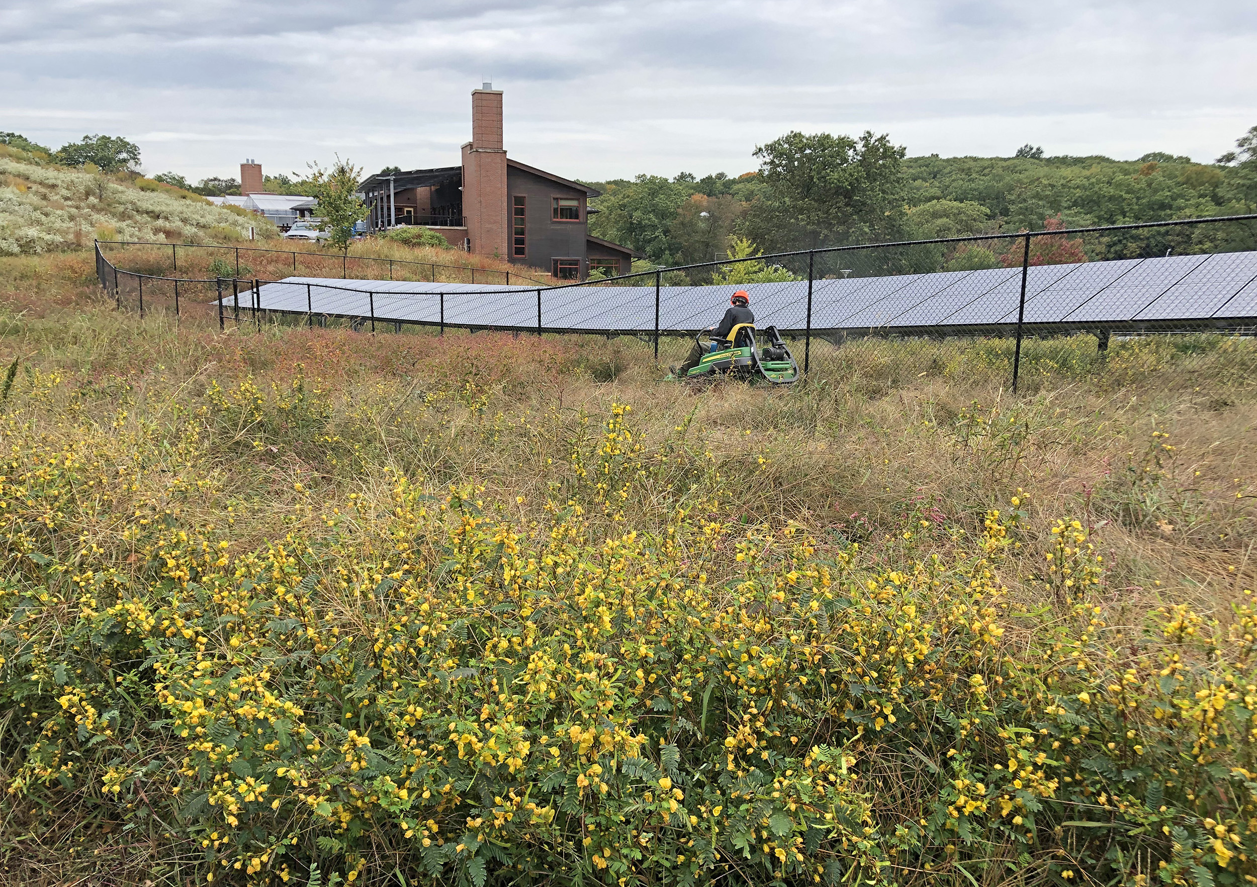 Mowing near the solar array