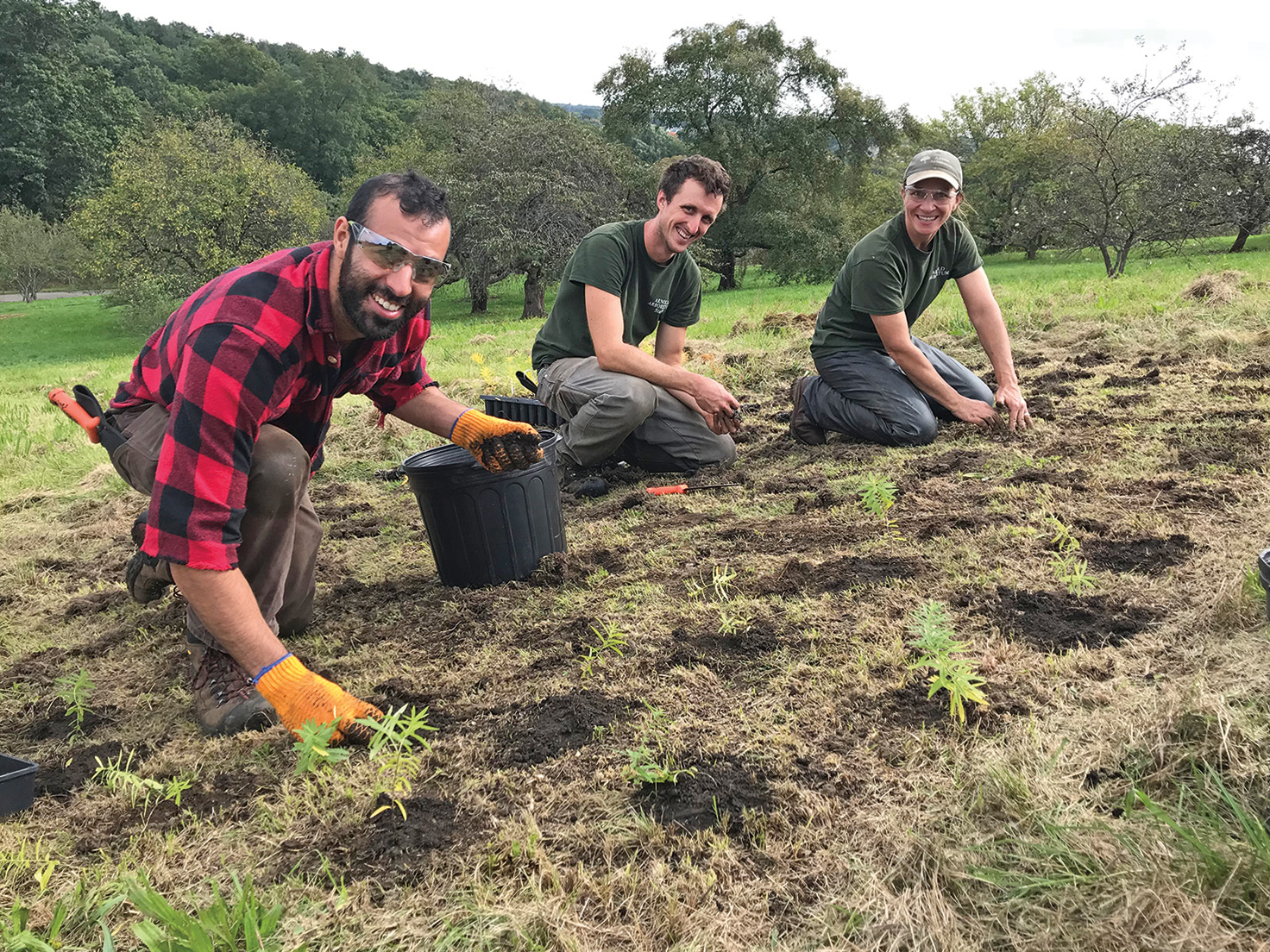 Anthony Lombardo, Brendan Keegan, and Laura Mele planting a perennial meadow on Peters Hill
