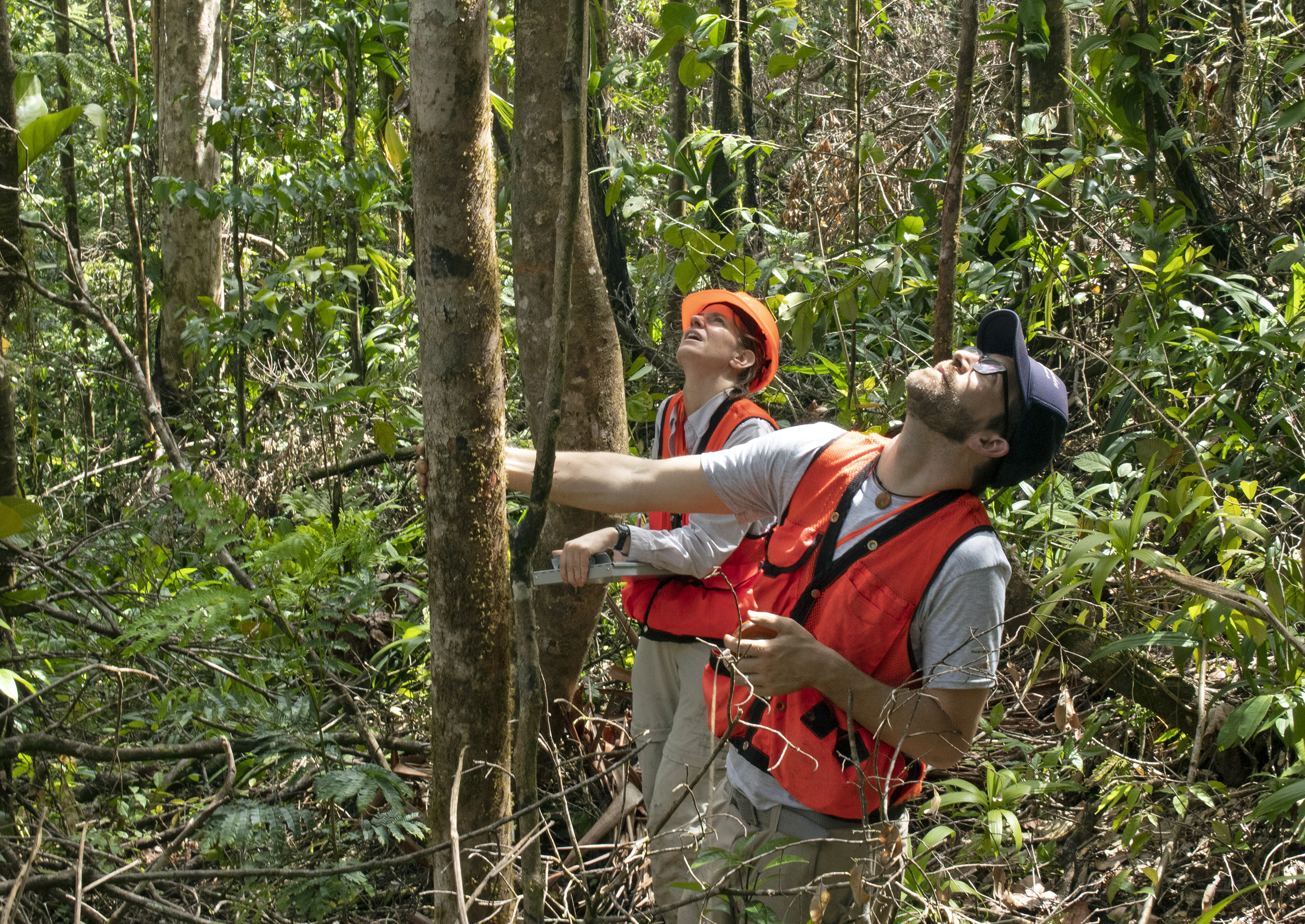 Ben Taylor and colleague gather forest data