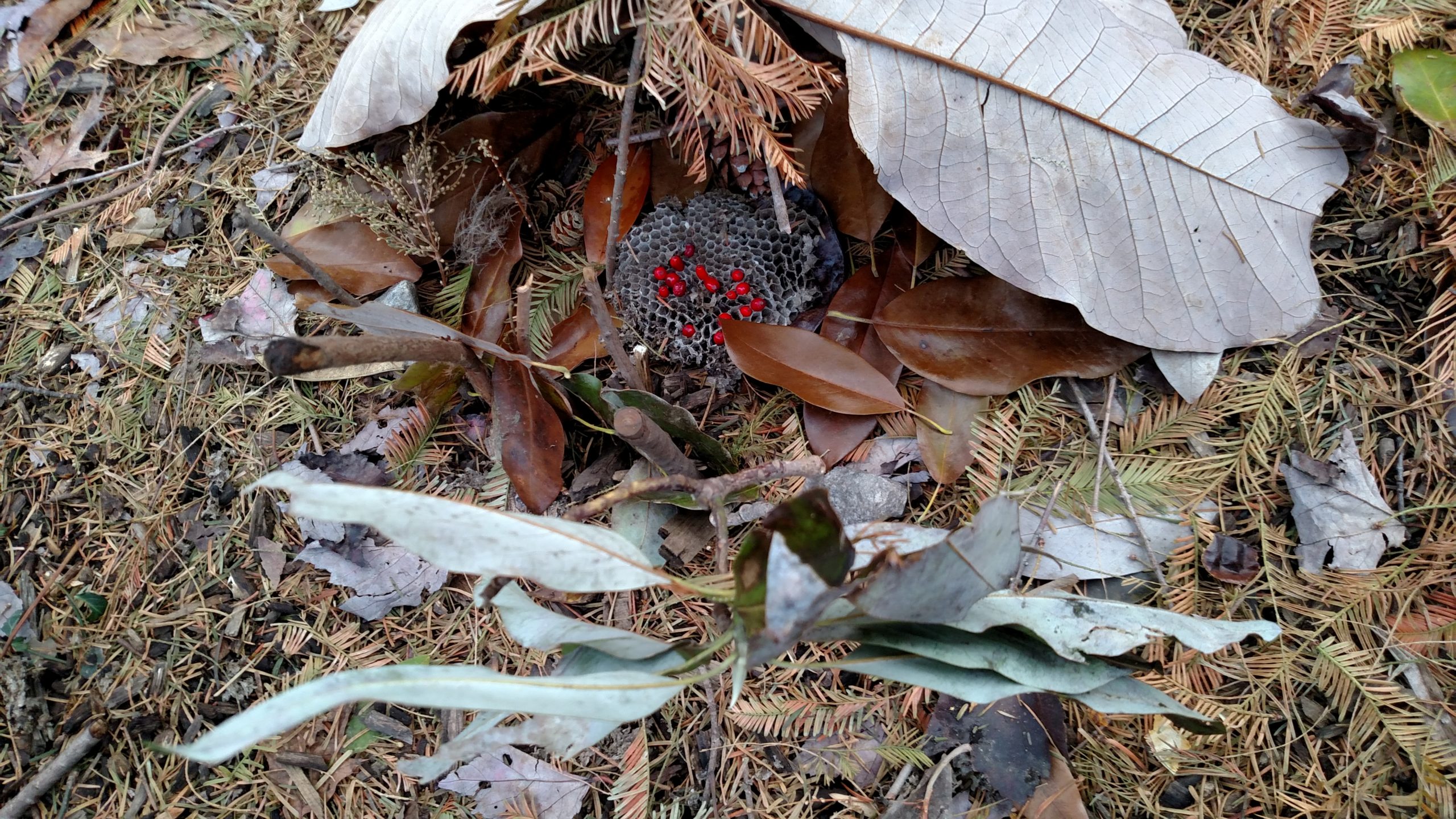 This fairy house has a fireplace!