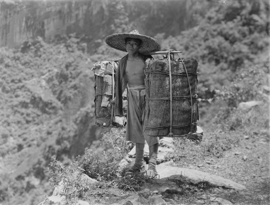 Man carrying load of Tu-chang bark, a valued tonic medicine, Yunyang Hsien, 1910. All photographs by Ernest Henry Wilson. © President and Fellows of Harvard College. Arnold Arboretum Archives.