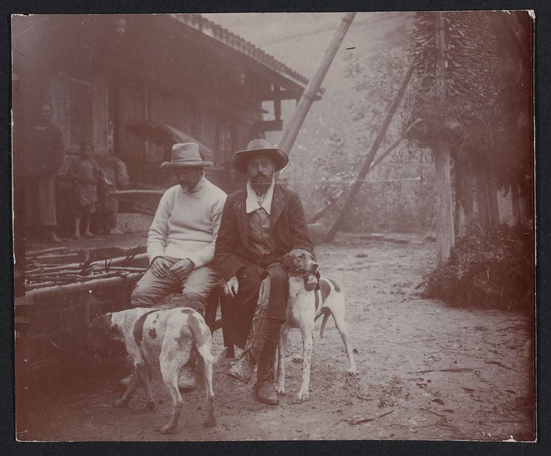 Wilson and traveling companion, Walter Zappey, with dogs, China, 1908. All photographs by Ernest Henry Wilson. © President and Fellows of Harvard College. Arnold Arboretum Archives.