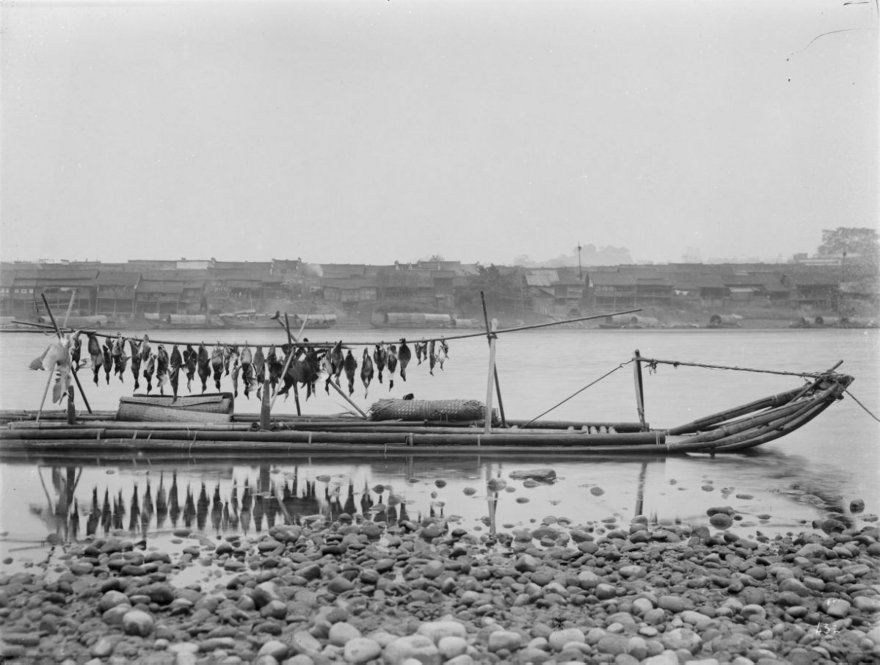 A bamboo raft and bag of duck. All photographs by Ernest Henry Wilson. © President and Fellows of Harvard College. Arnold Arboretum Archives.