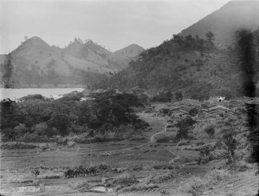 Yakushima [Title from label in photograph album.] Alternate Title: Village to right and fields to left, hills by water behind. View of cone-shaped hills with Village of Shitogo and rice-fields, Yakushima. [Information from label in photograph album.]