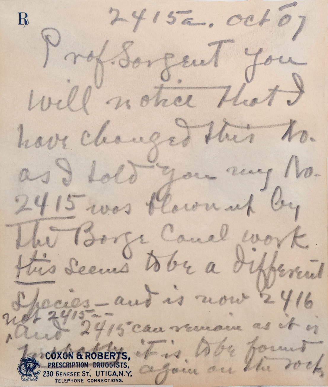 Herbarium specimen label explaining that a plant was destroyed (