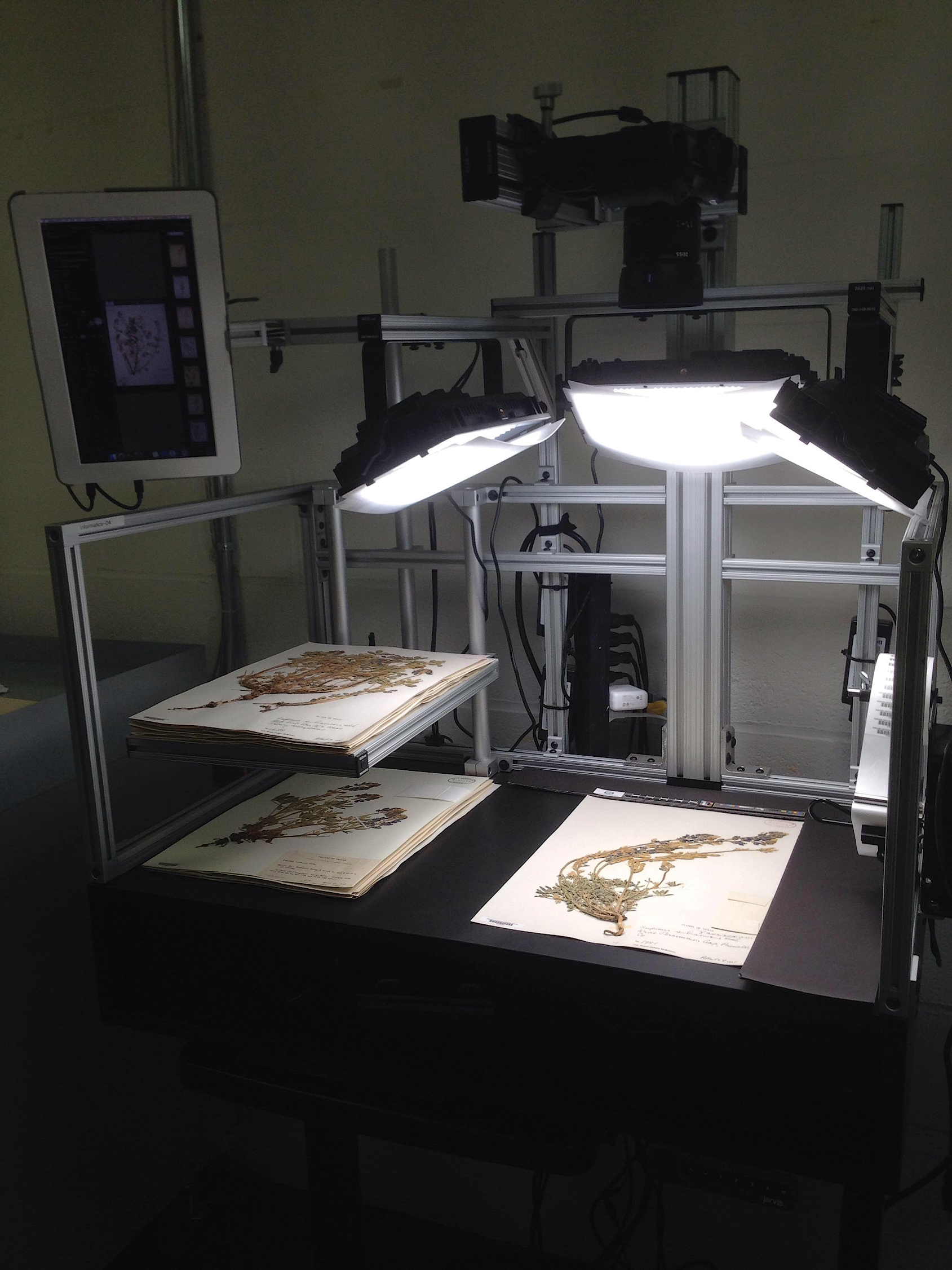 Digitization station at Harvard University Herbaria