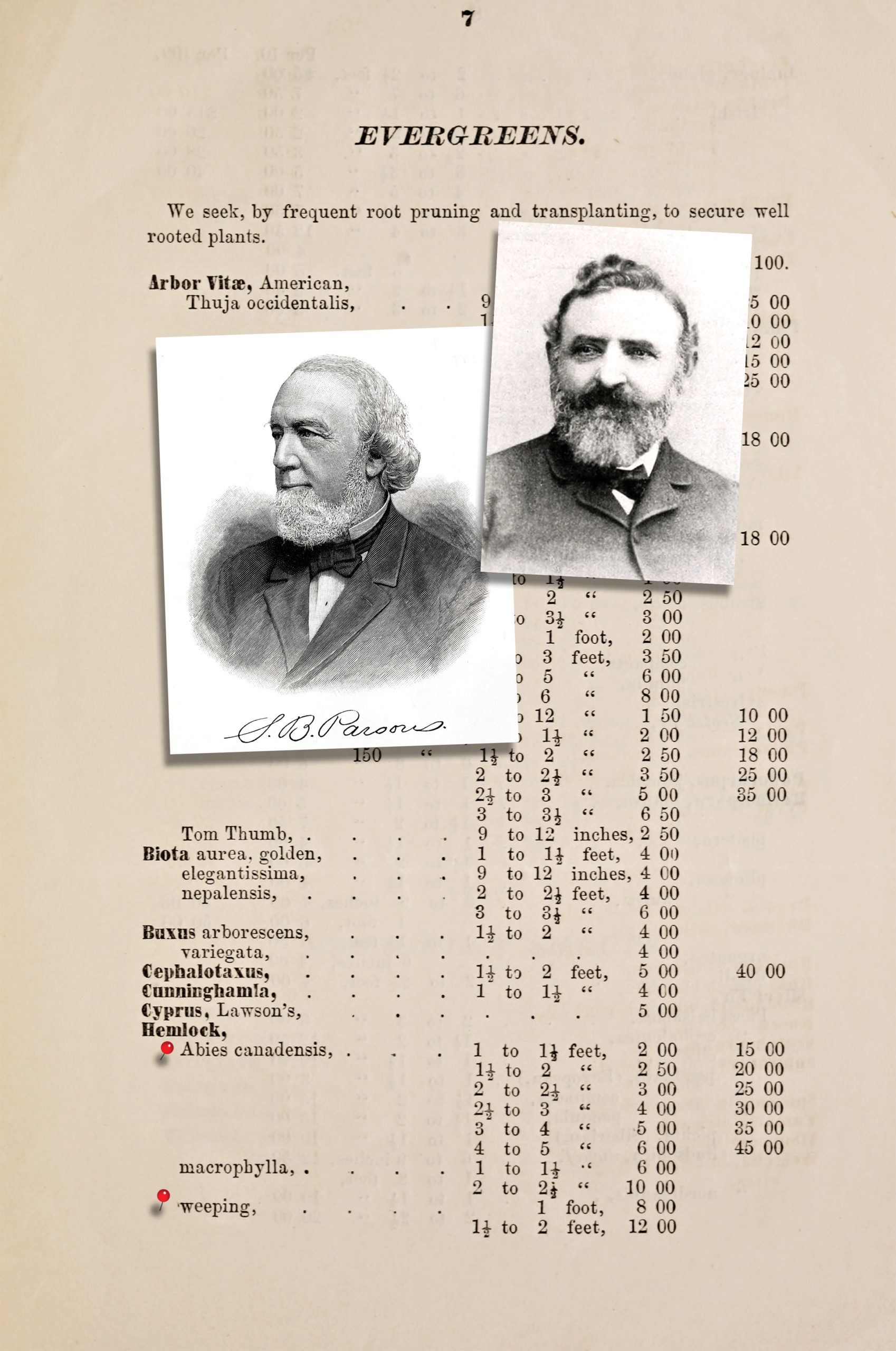 Composition showing page from R. B. Parsons catalogue, along with portraits of Trumpy and S. B. Parsons
