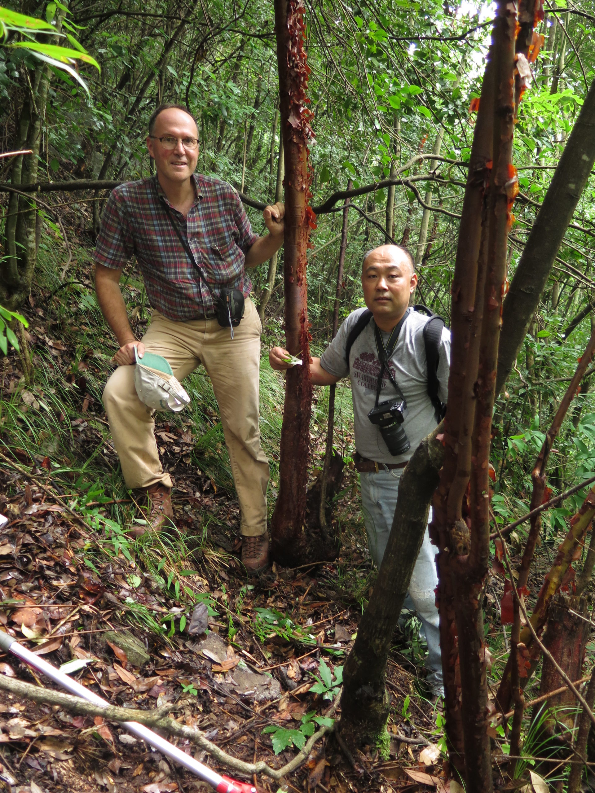 Tony Aiello and Wang Kang in an Acer griseum grove in Gao Nan Zhen, Chengkou.