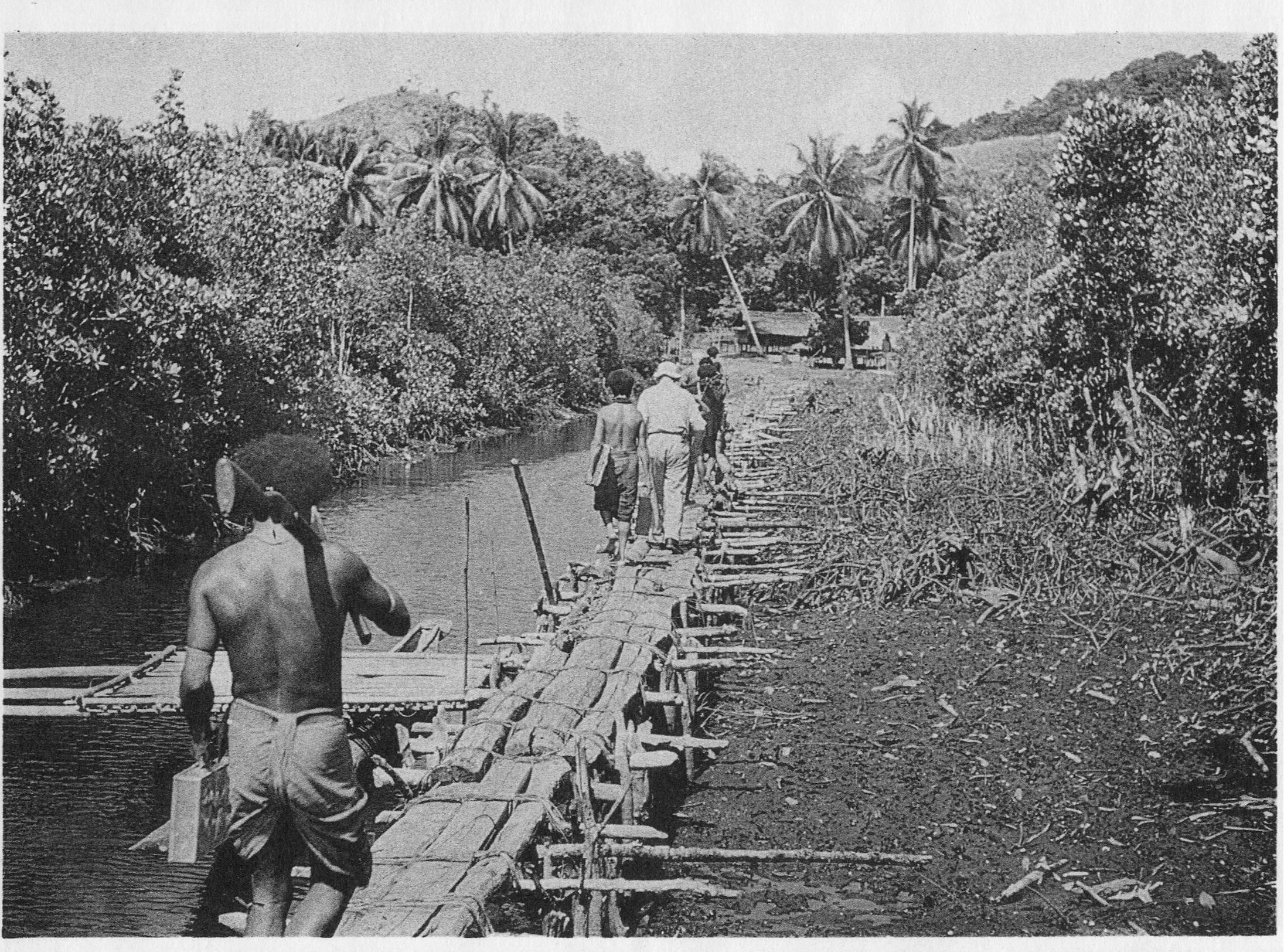 The expedition landing place in the mangroves, Baiawa, Moi Biri Bay.