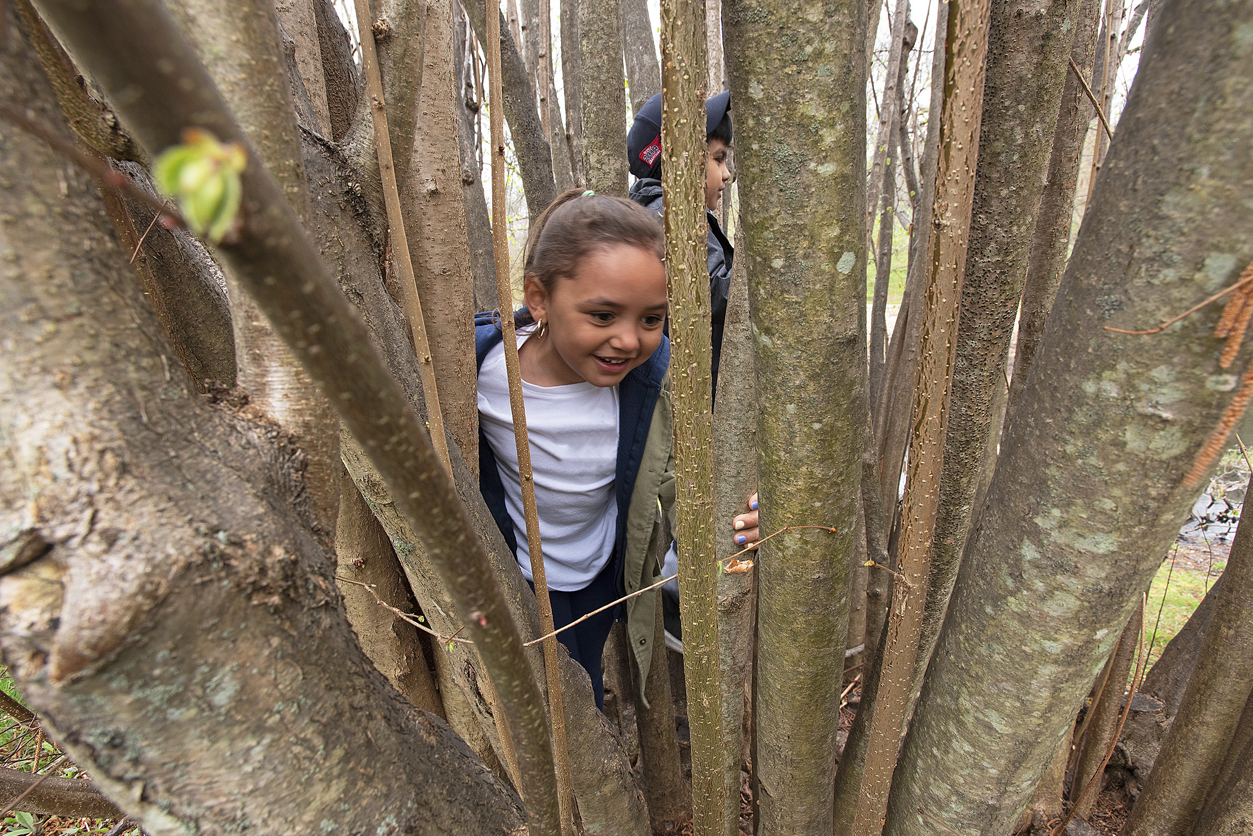 Children playing in a tree by Jeff Blackwell