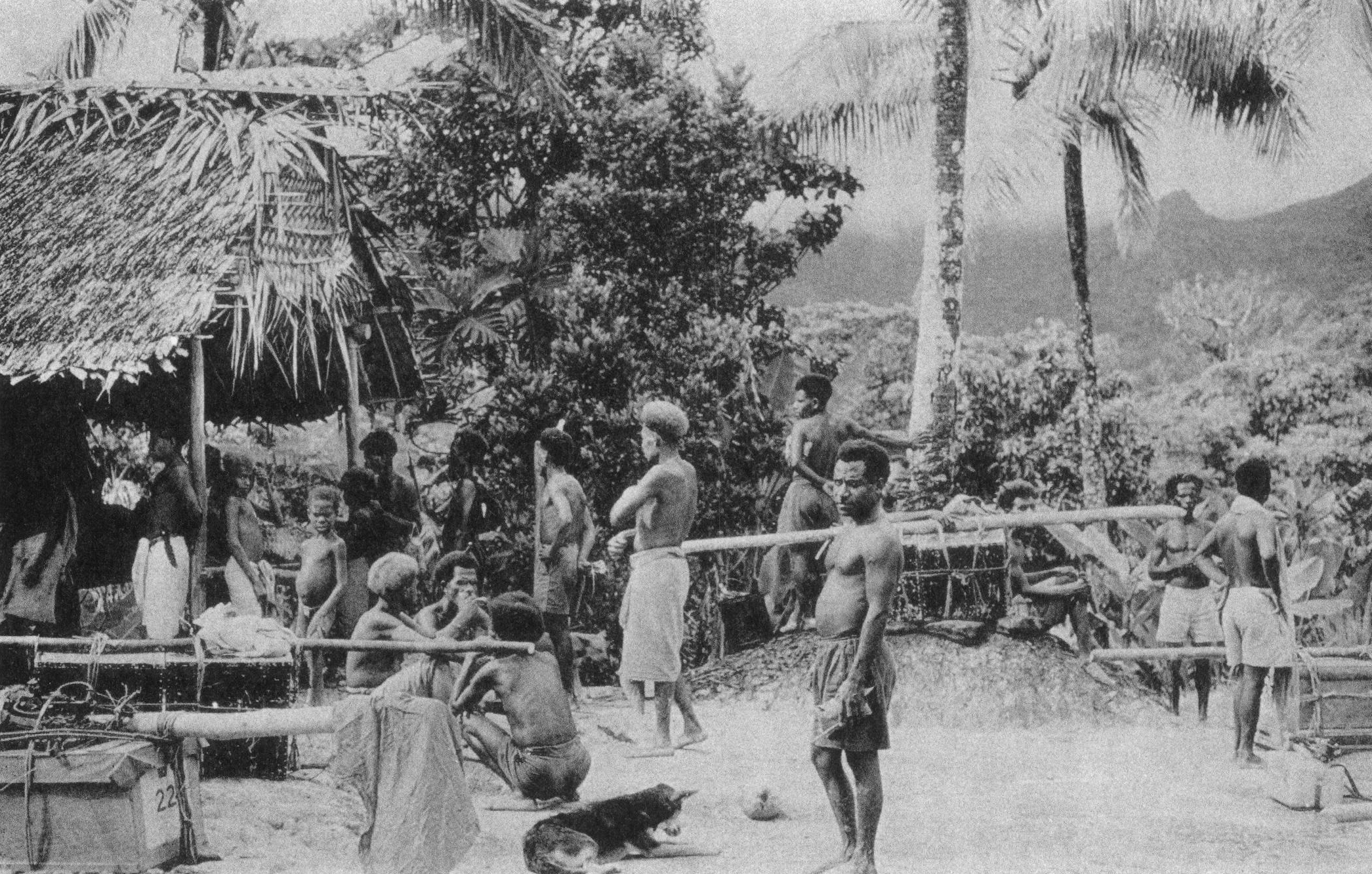 A scene on Rossel Island with the expedition carriers in Dambeni hamlet, at 600 feet (180 meters) elevation on the mountain slopes above Jinju.