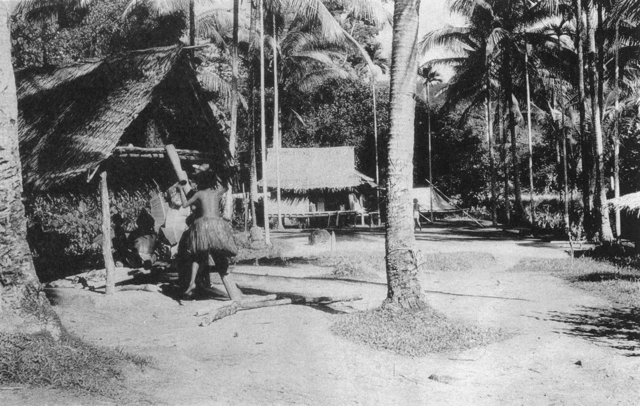 Agamoia village on Fergusson Island with the resthouse and an expedition fly in background.