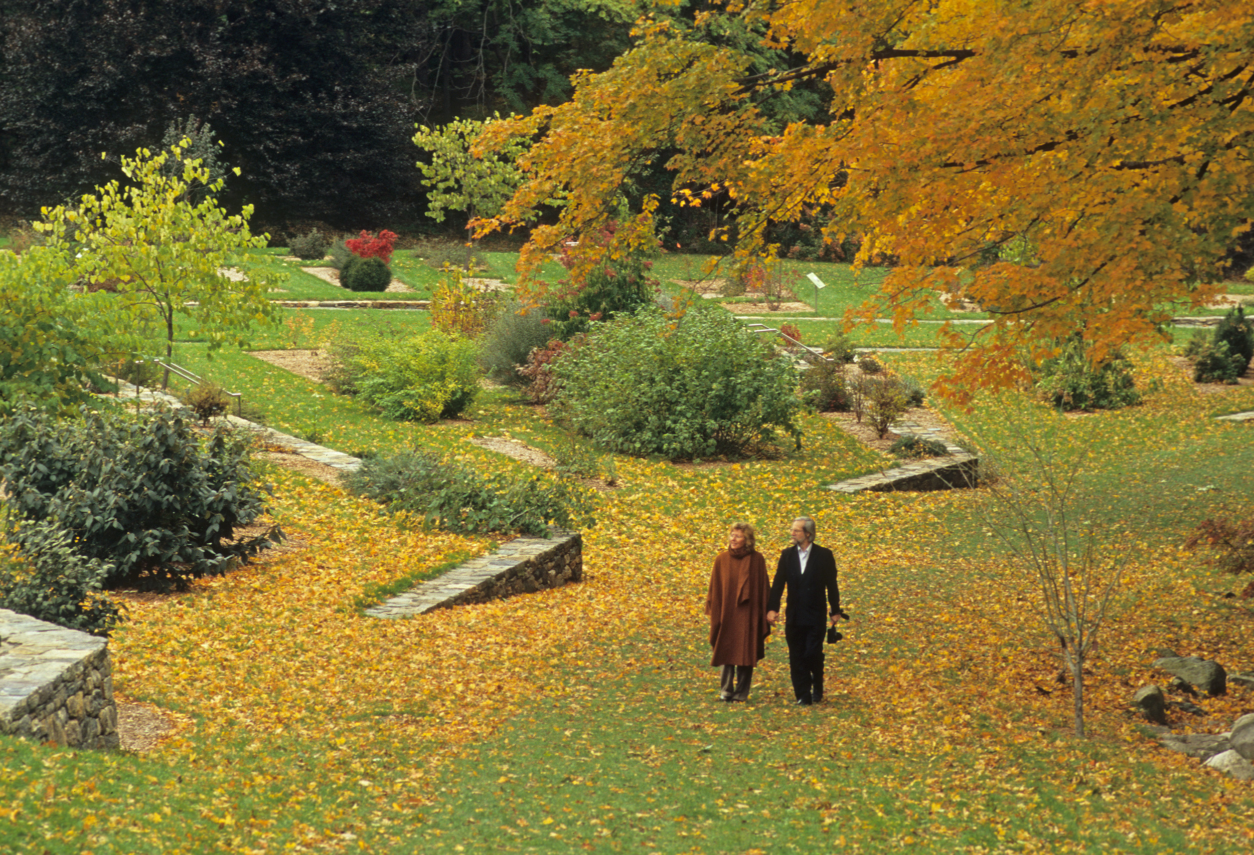 leventritt garden in autumn by Jim Harrison