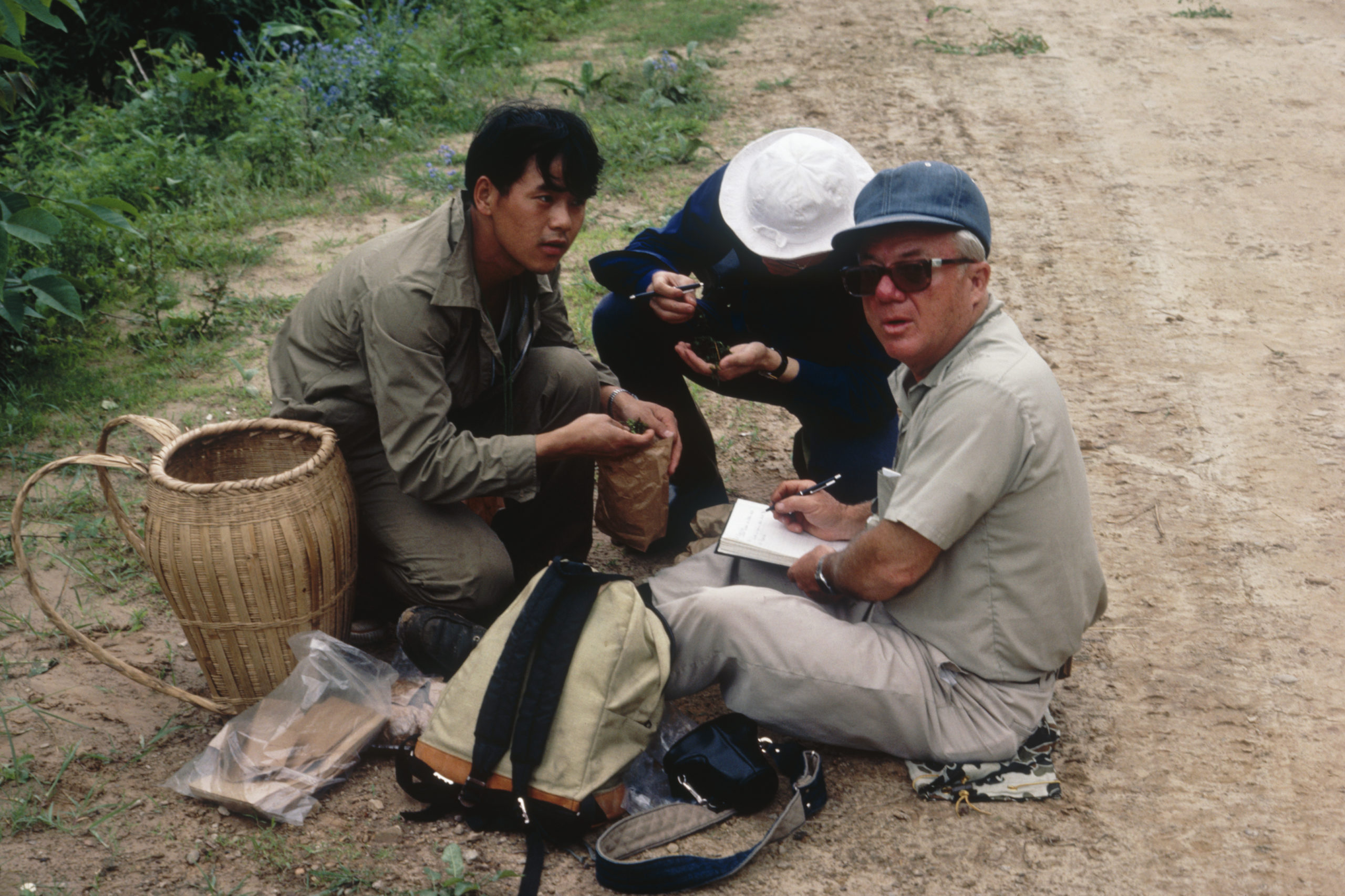 1984 SABE team members Su Yongge (left), He Si (center), and Paul Redfearn (right) preparing bryophyte specimens along the road in Weishan Xian, Yunnan.