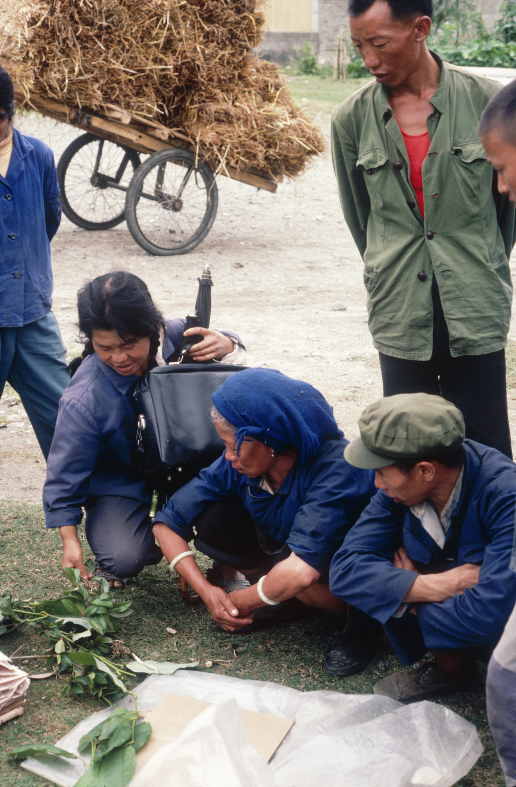 Villagers watching specimen preparation on the collection team's return from Huadianba, Yunnan.
