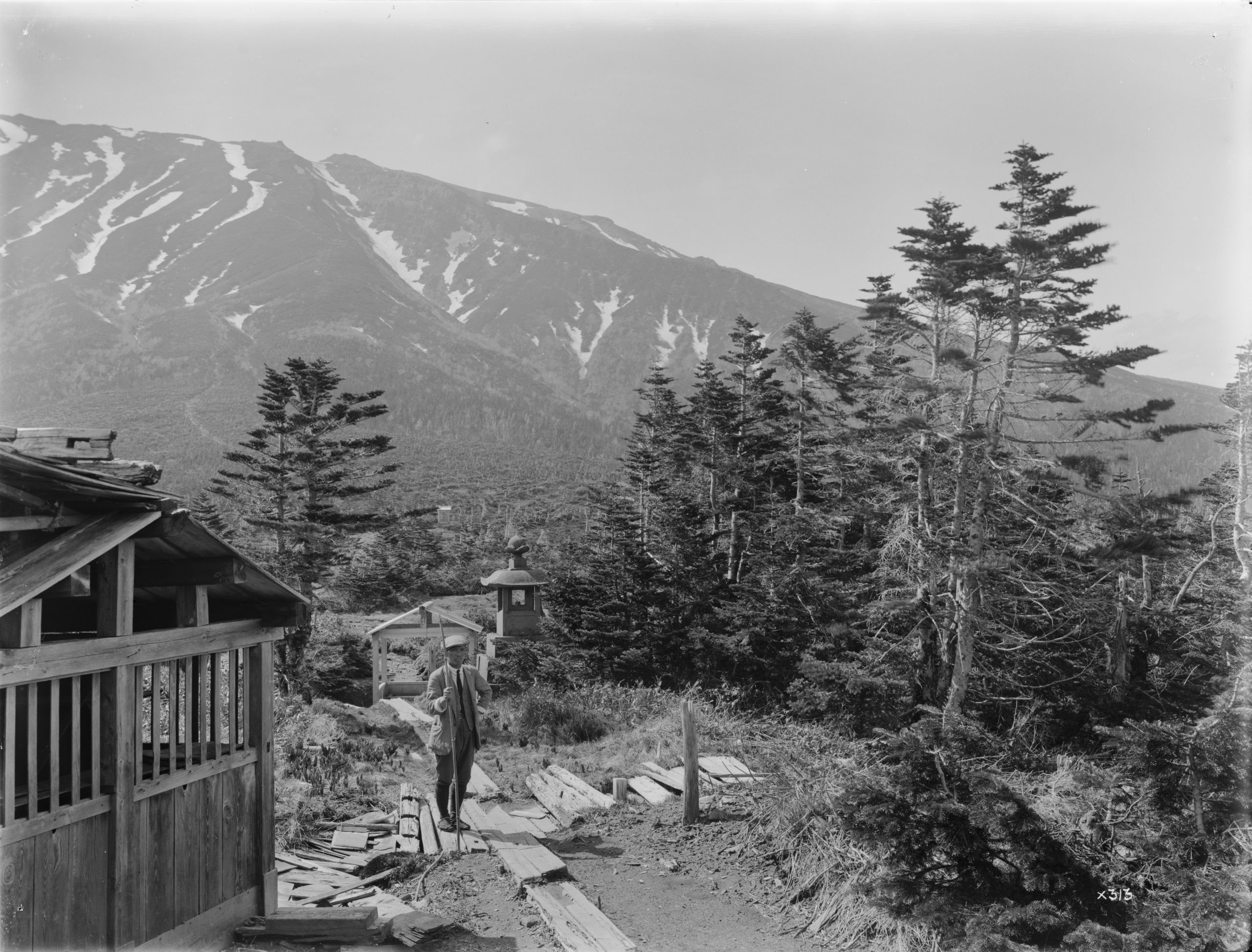 Ernest Wilson photographed his assistant in June 1914 with Mount Ontake, Honshu Province, in the background.