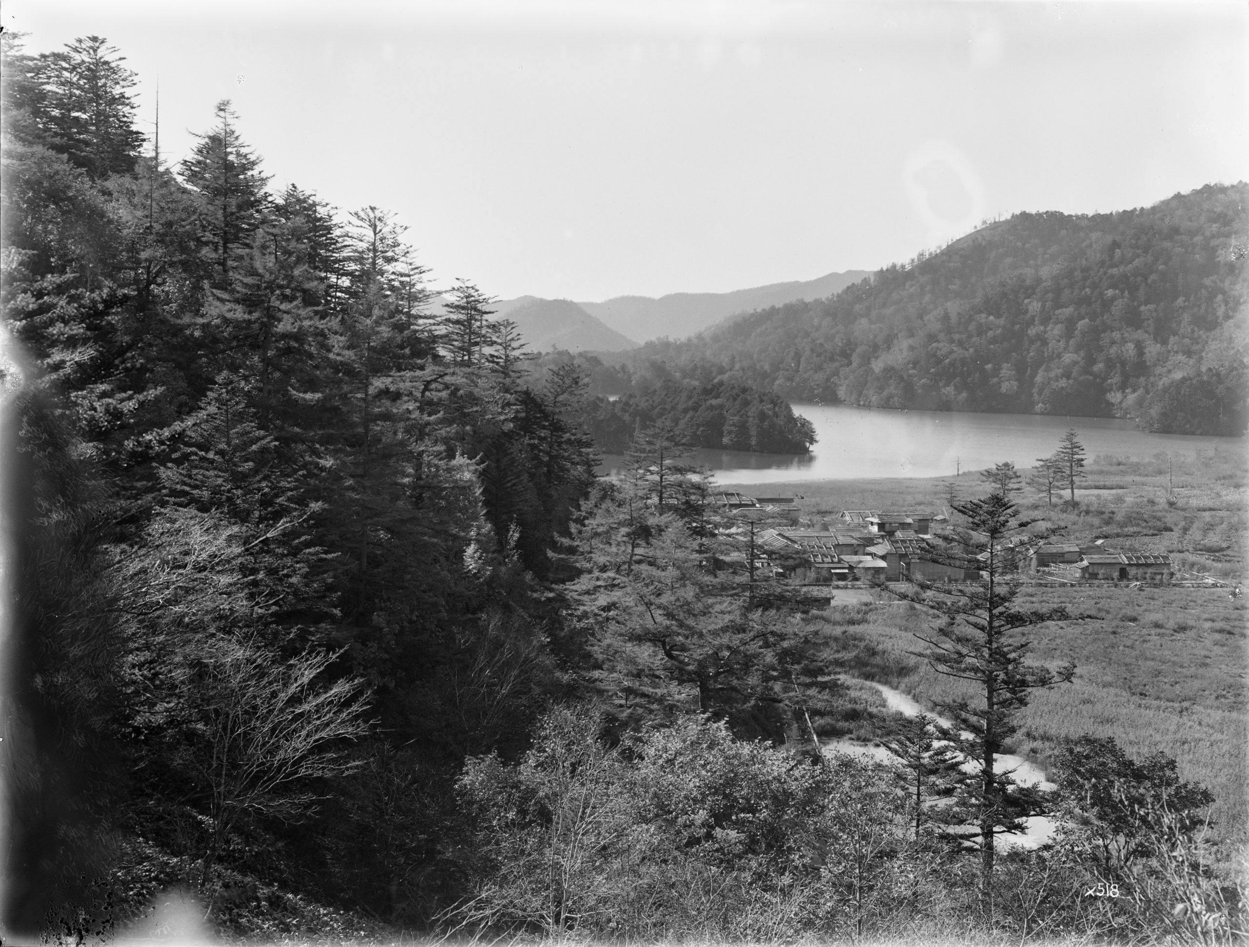 View of Yumoto village Lake Yumoto beyond in October 1914. Ernest Wilson notes that this landscape in the Nikko region was populated by Japanese larch (Larix kaempferi) and Nikko fir (Abies homolepis) that form the forests in the foreground.