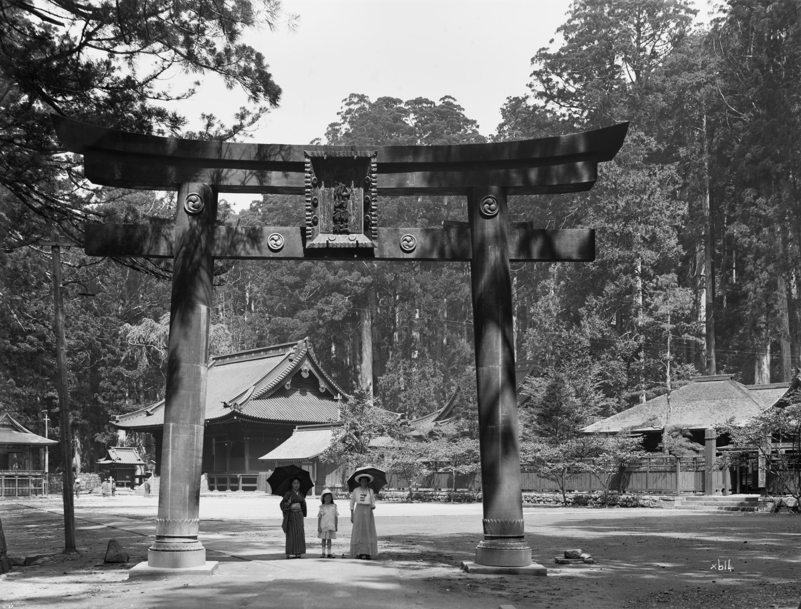 Ernest Wilson photographed Amah, Muriel, and Ellen Wilson in May 1914 beneath the bronze torii at the Futara Shrine near Nikko, Japan. Japanese cedar (Cryptomeria japonica) trees grow around.