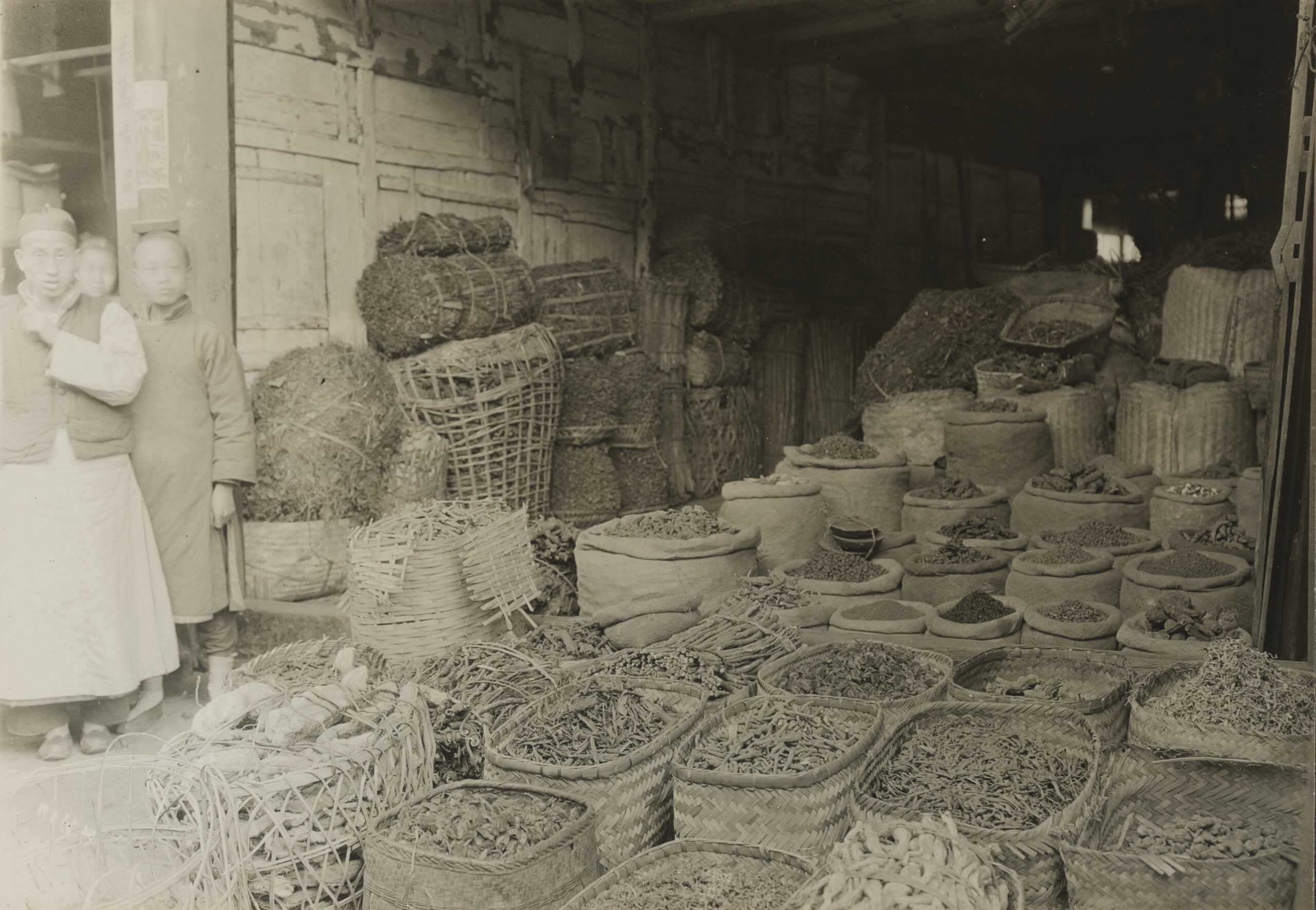 Joseph Rock photographed the interior of a medicine shop in Zhongba (Chungba), Sichuan with baskets of dried medicinal plants in baskets on the floor in March 1925.