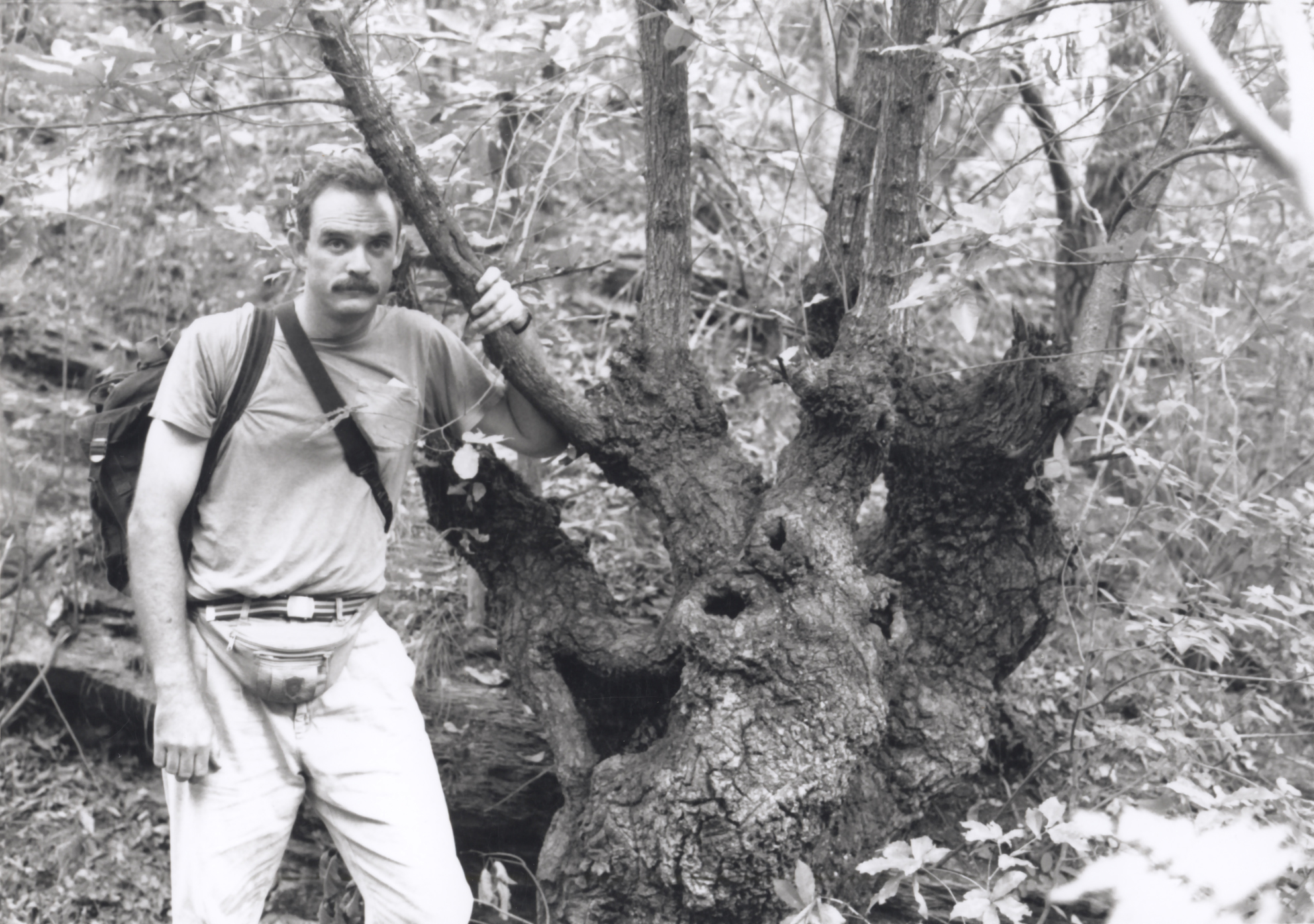 A man in a light colored t-shirt and pants with a moustache leans against a lateral tree branch. His left hand grasps another branch near his shoulder.