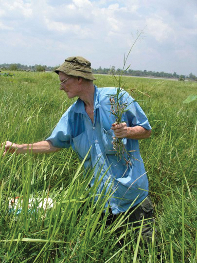 Photograph of James Maxwell collecting in open wetland.