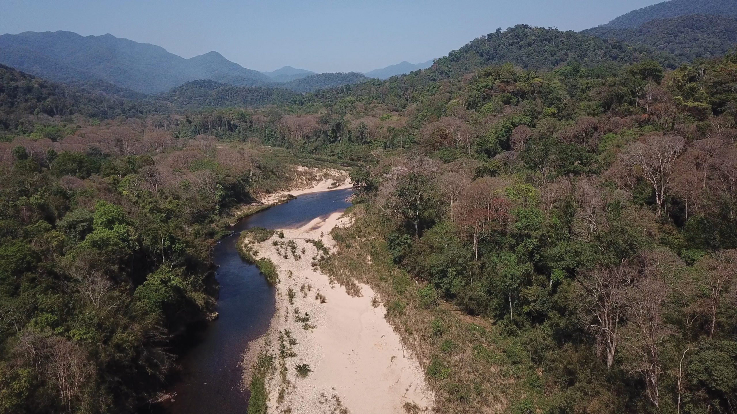 Photograph of river flowing through tropical forest with mountains on horizon