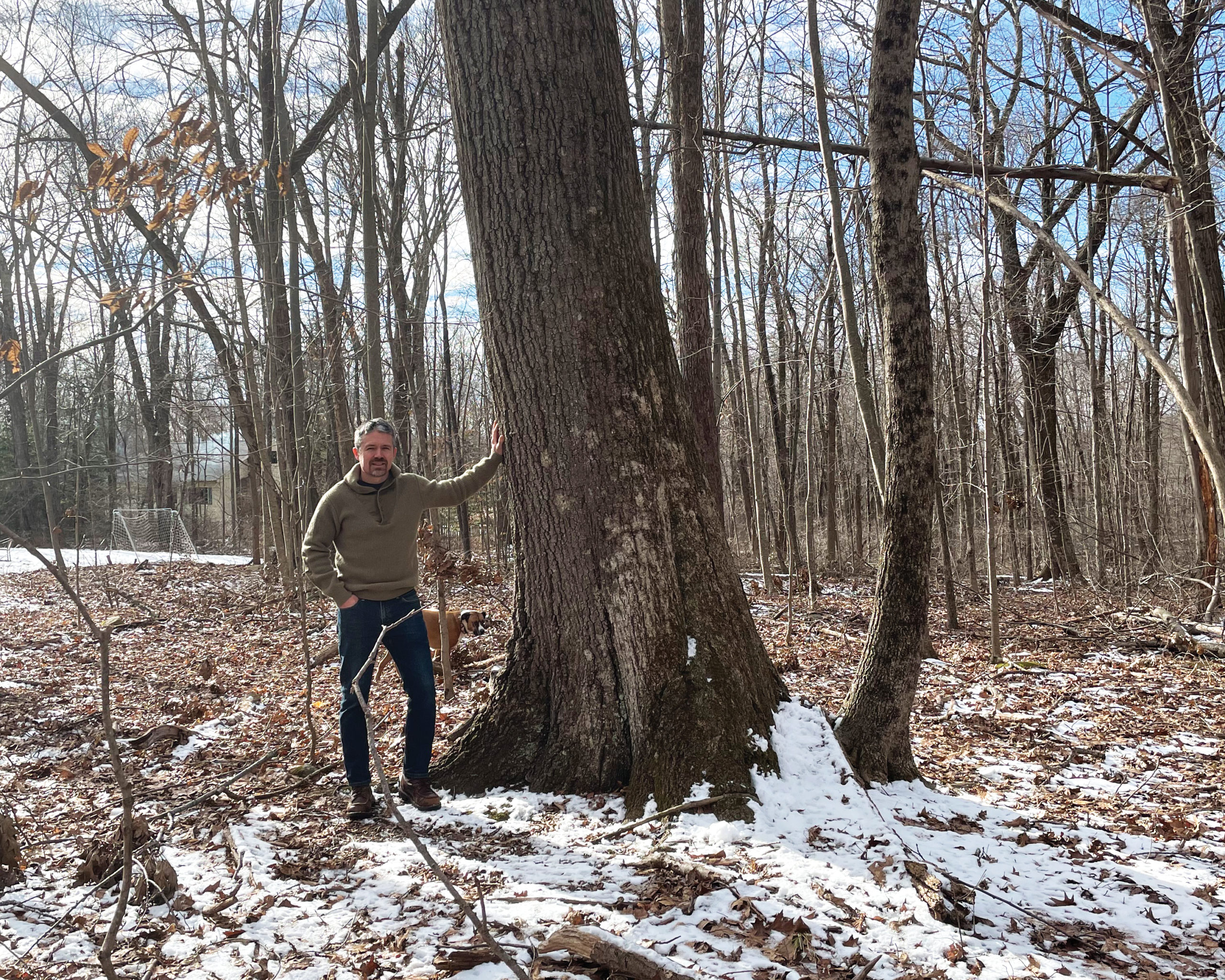 Photograph of man stranding beside large oak tree in woods
