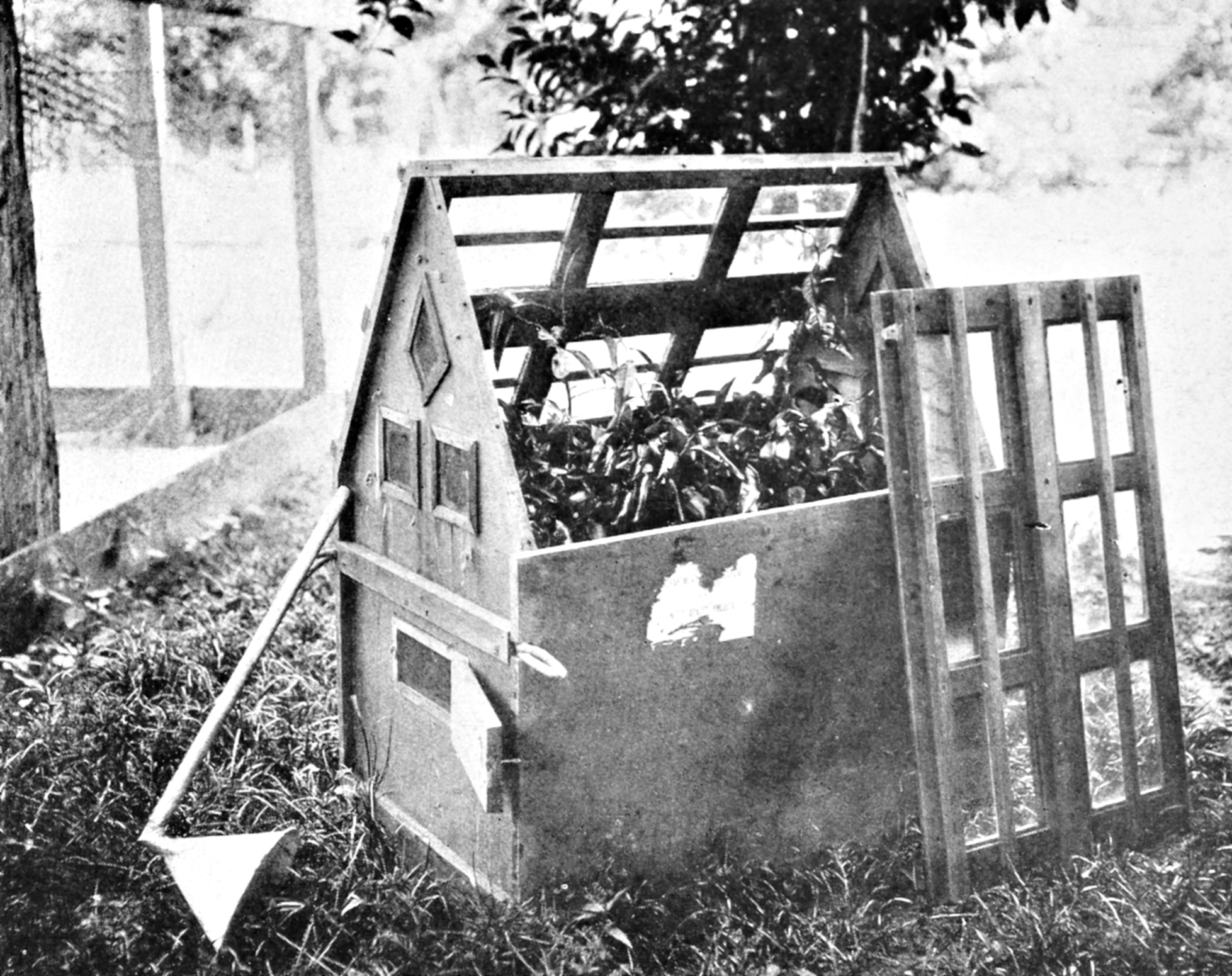 Black-and-white photograph of Wardian case