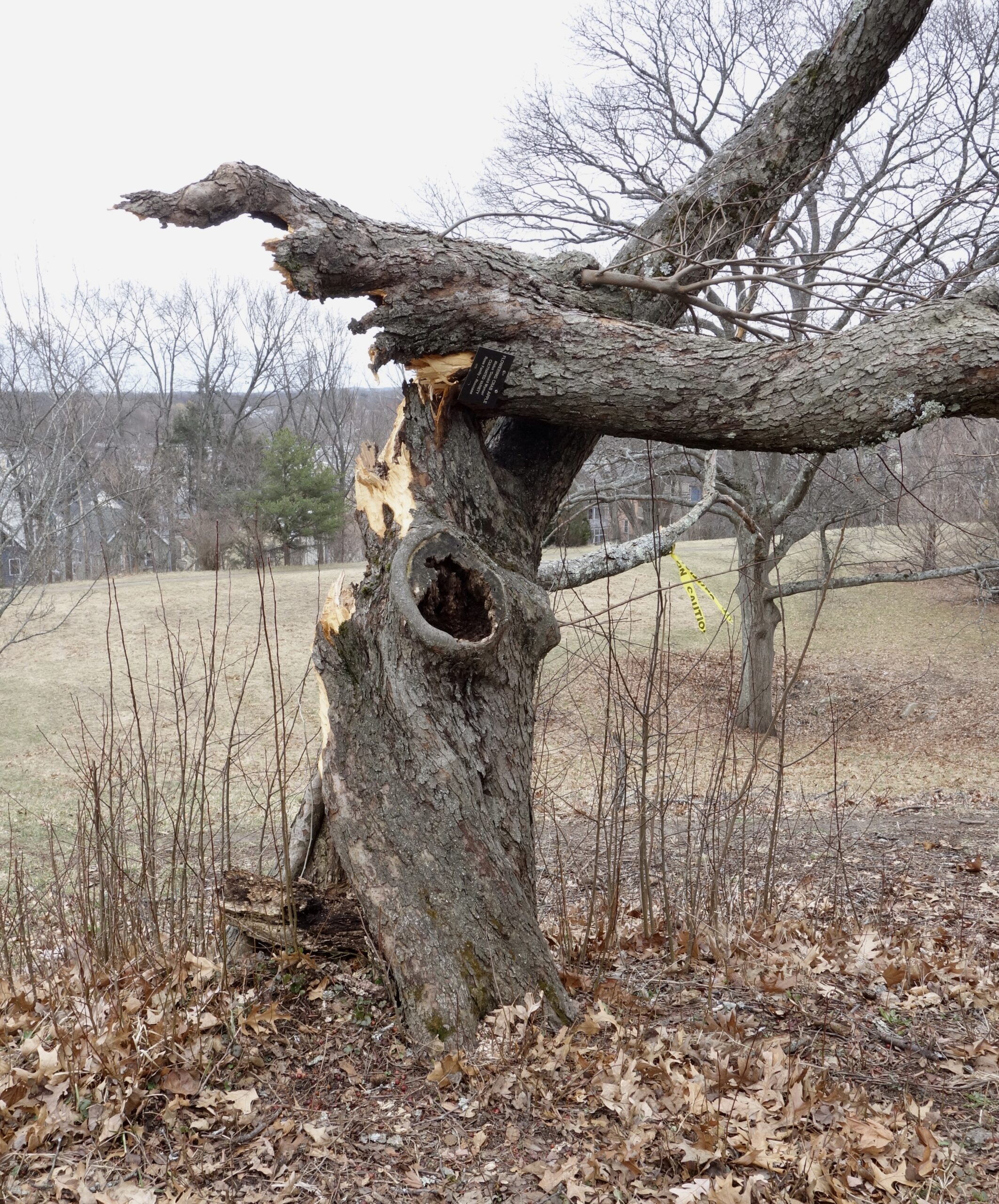 Close-up of damage sustained during Winter Storm Riley on March 3, 2018