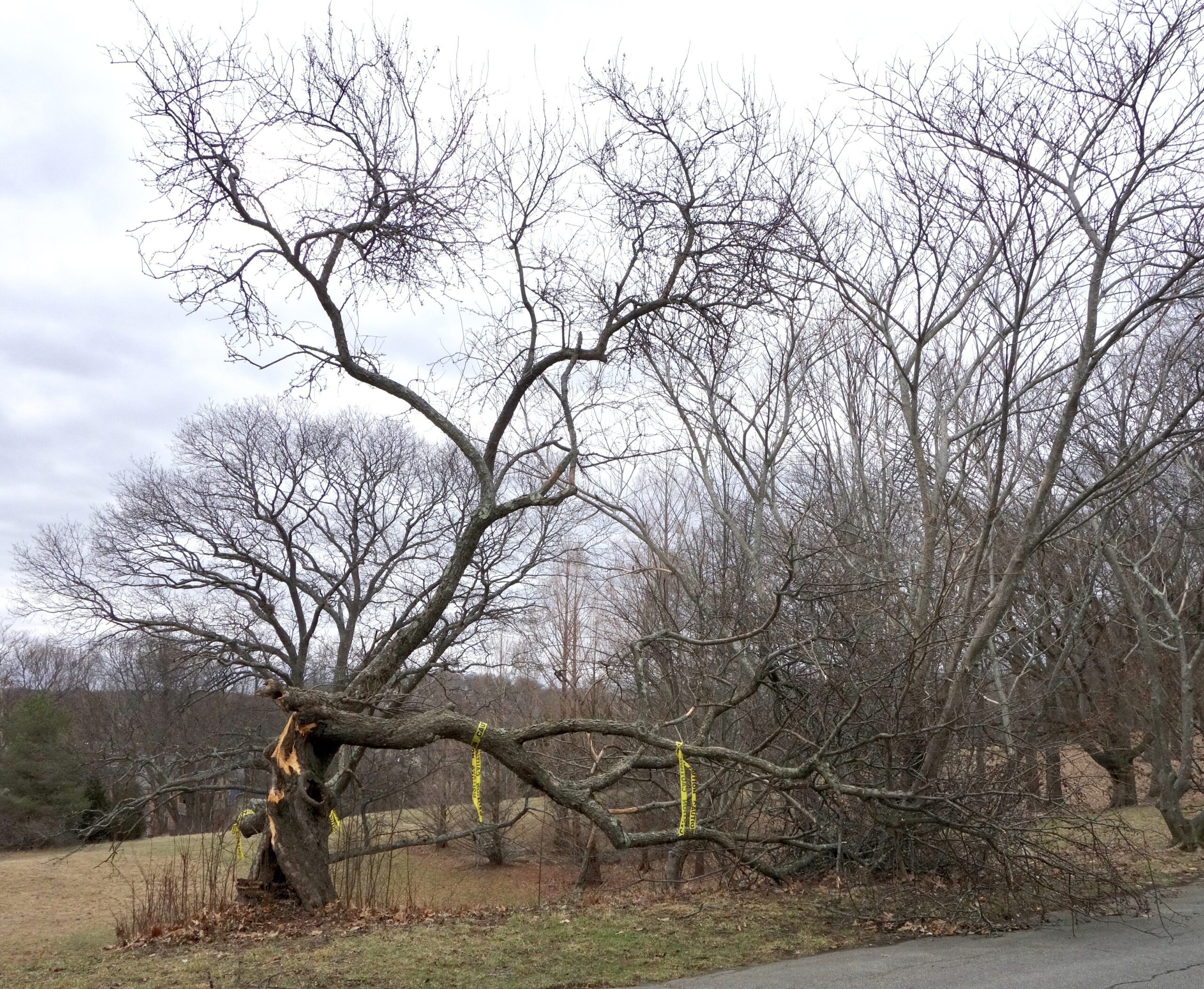 Damage sustained during Winter Storm Riley on March 3, 2018