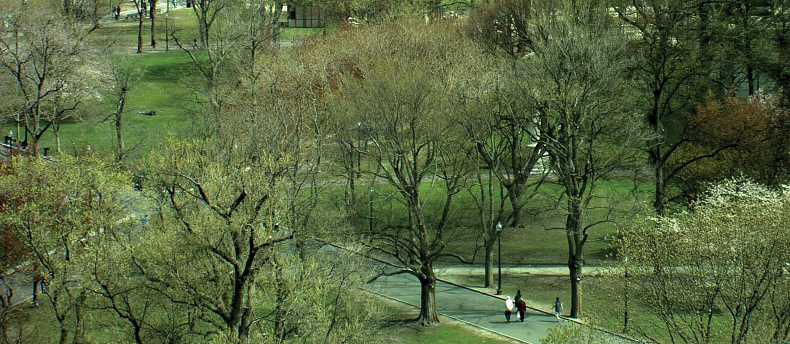 Photograph showing people walking on Boston Common path in May 2014