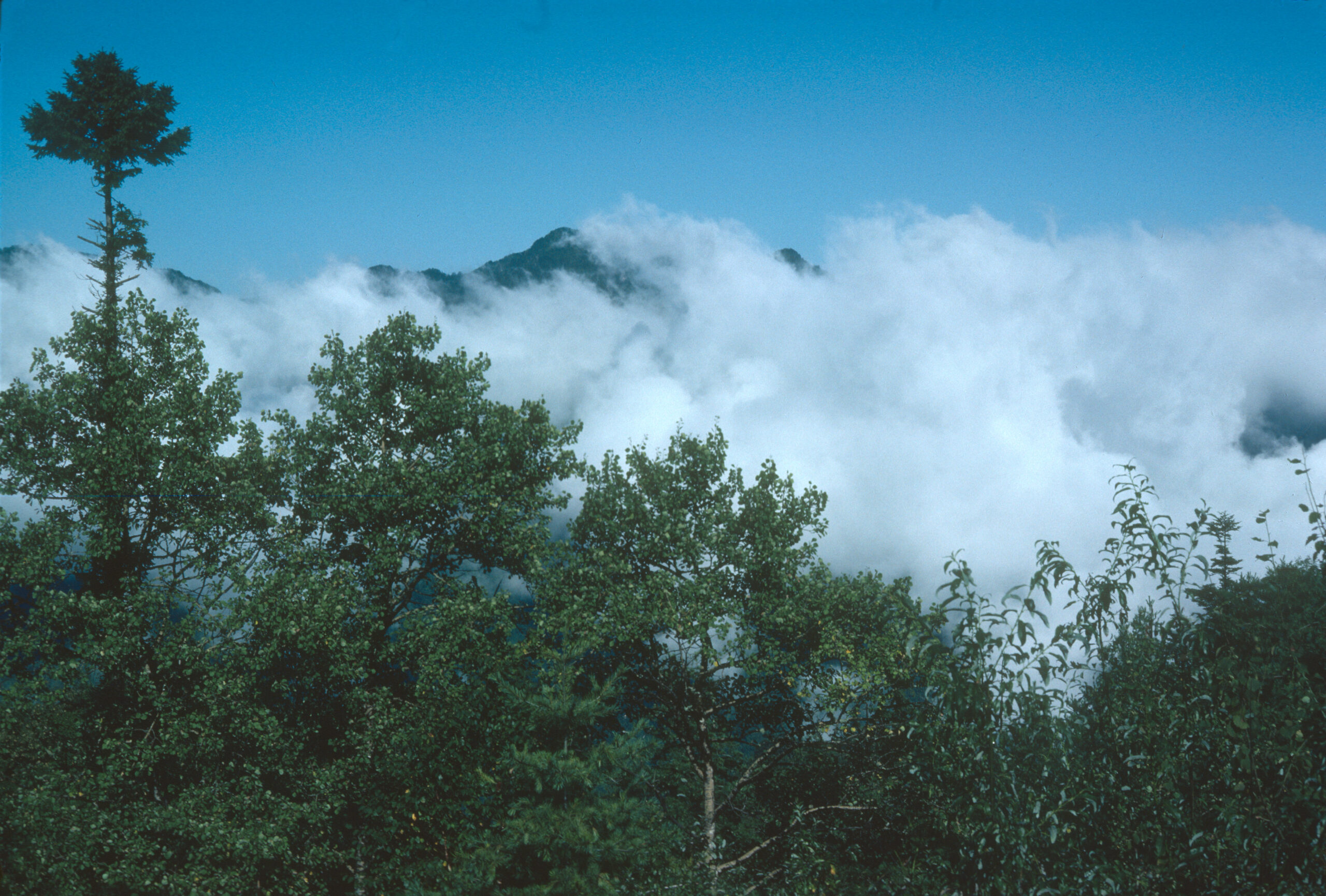 Clouds engulf the peaks near Xiaolongtan (Dalongtan) at 7,546-8,530 feet (2,300-2,600 meters).